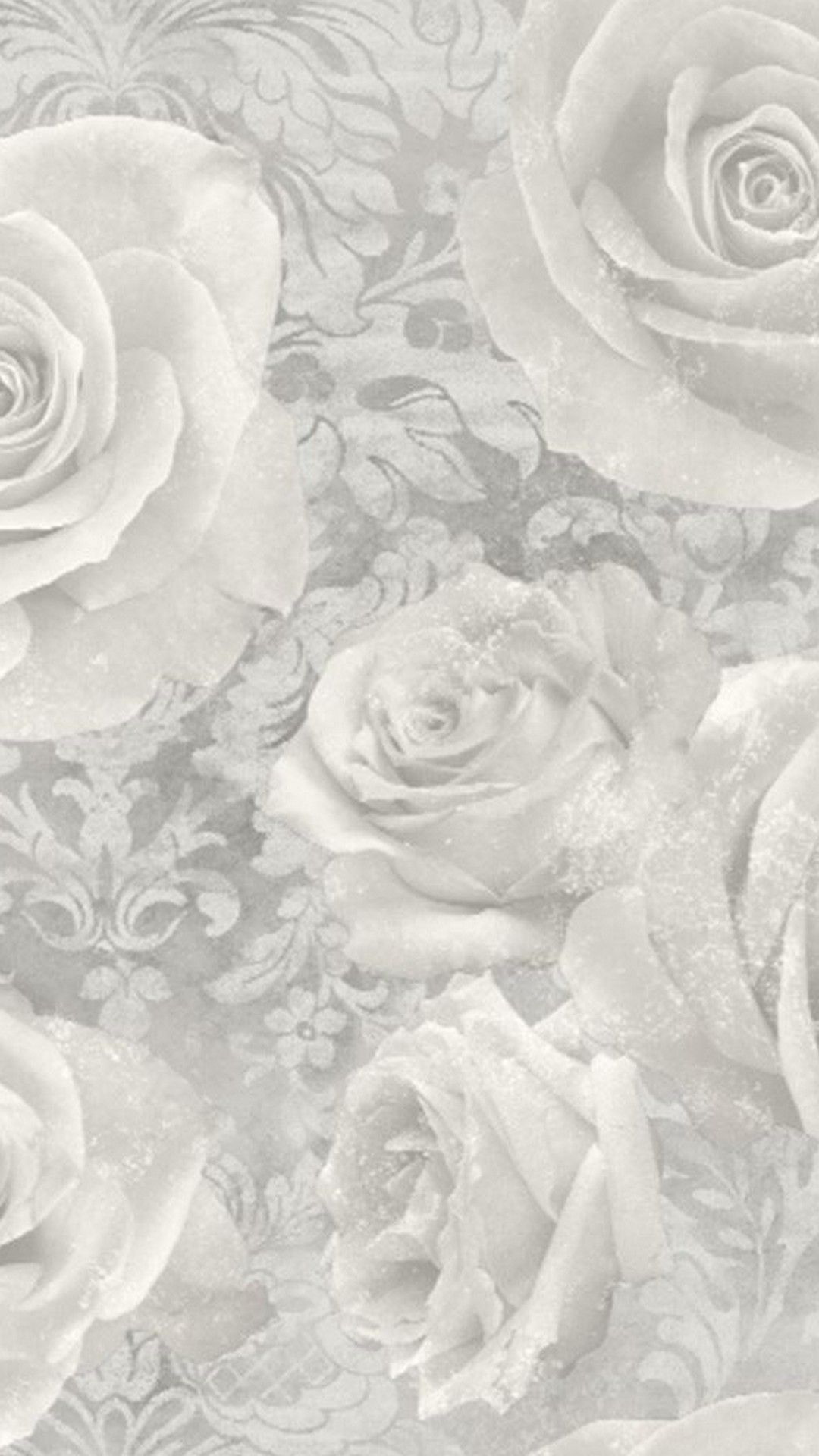 Rose bianche su damascato grigio, 1080x1920 Full HD Verticale, iPhone Plus