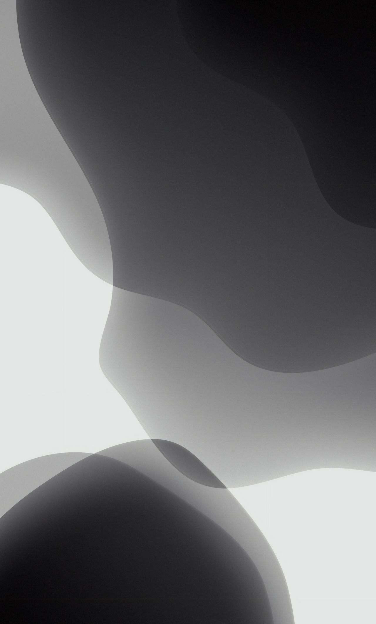 Forme astratte fluide grigio nero, 1280x2120 Full HD Verticale, iPhone Pro