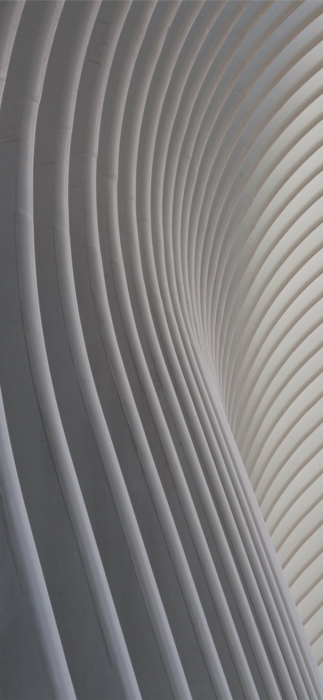Nervature architettoniche bianche curve, 1242x2688 Full HD Verticale, iPhone Air