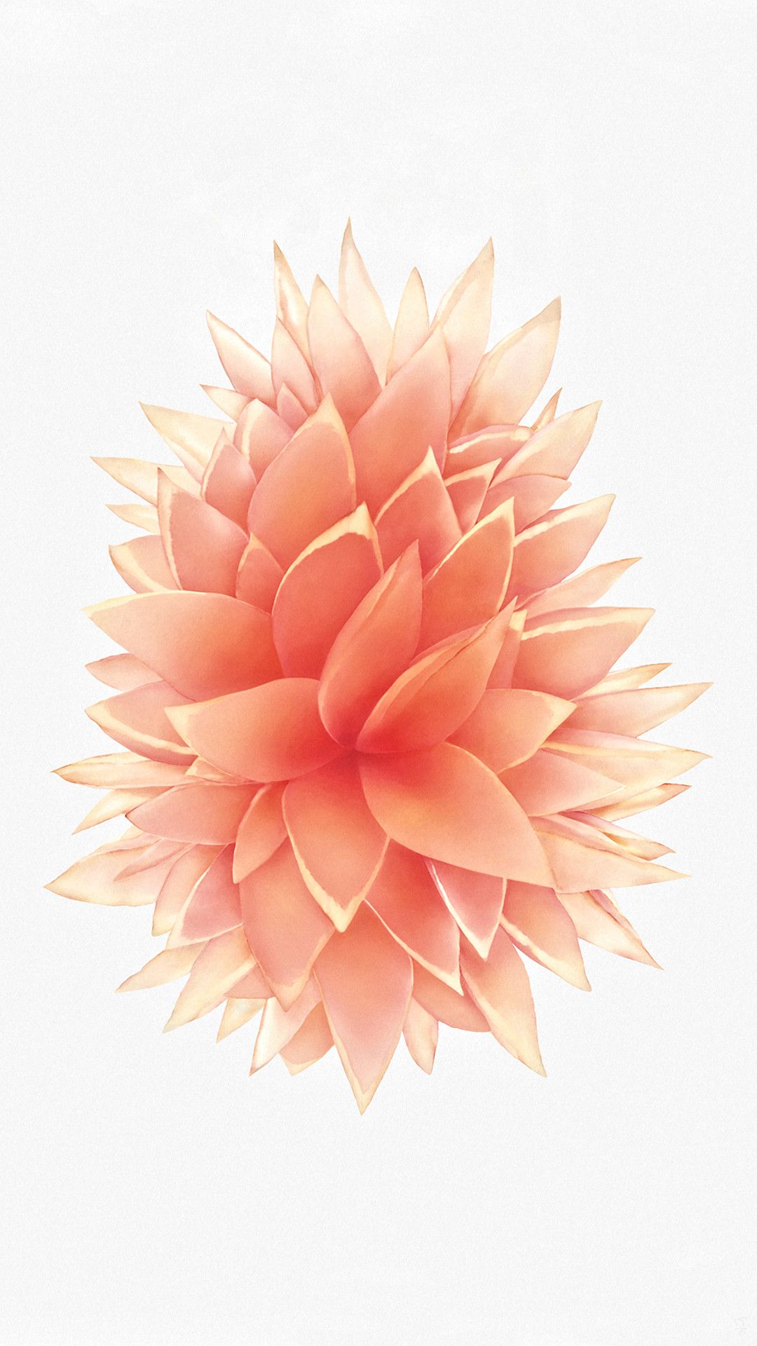 Fiore astratto rose gold, 1080x1920 Full HD Verticale, iPhone Pro Max