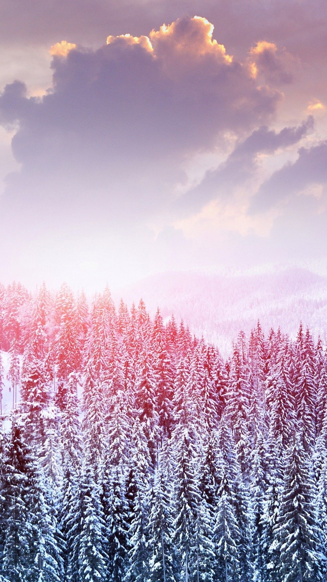 Foresta innevata al tramonto, 1080x1920 Full HD Verticale, iPhone Air