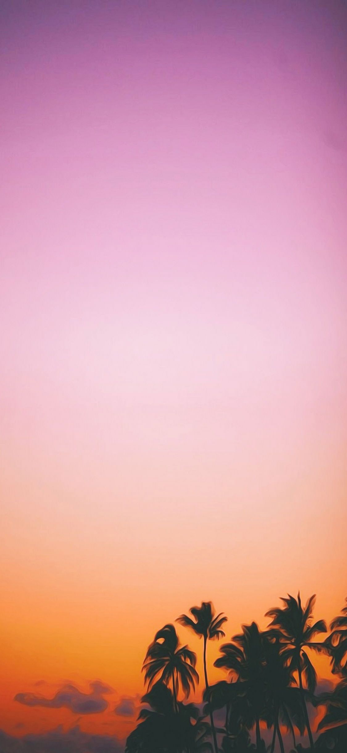 palme tramonto cielo rosa, 1125x2436 Verticale, iPhone Pro