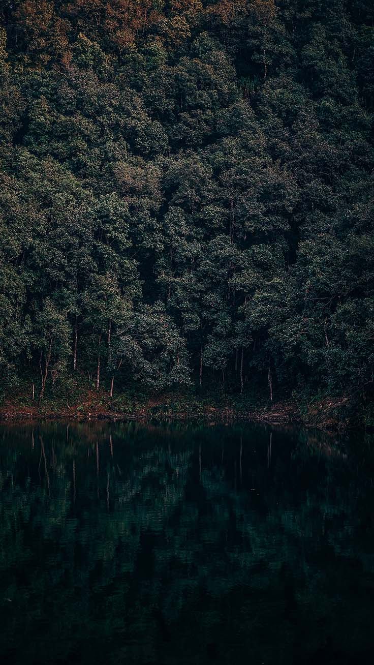 Foresta scura riflessa nel lago, 736x1308 Verticale, iPhone Pro Max