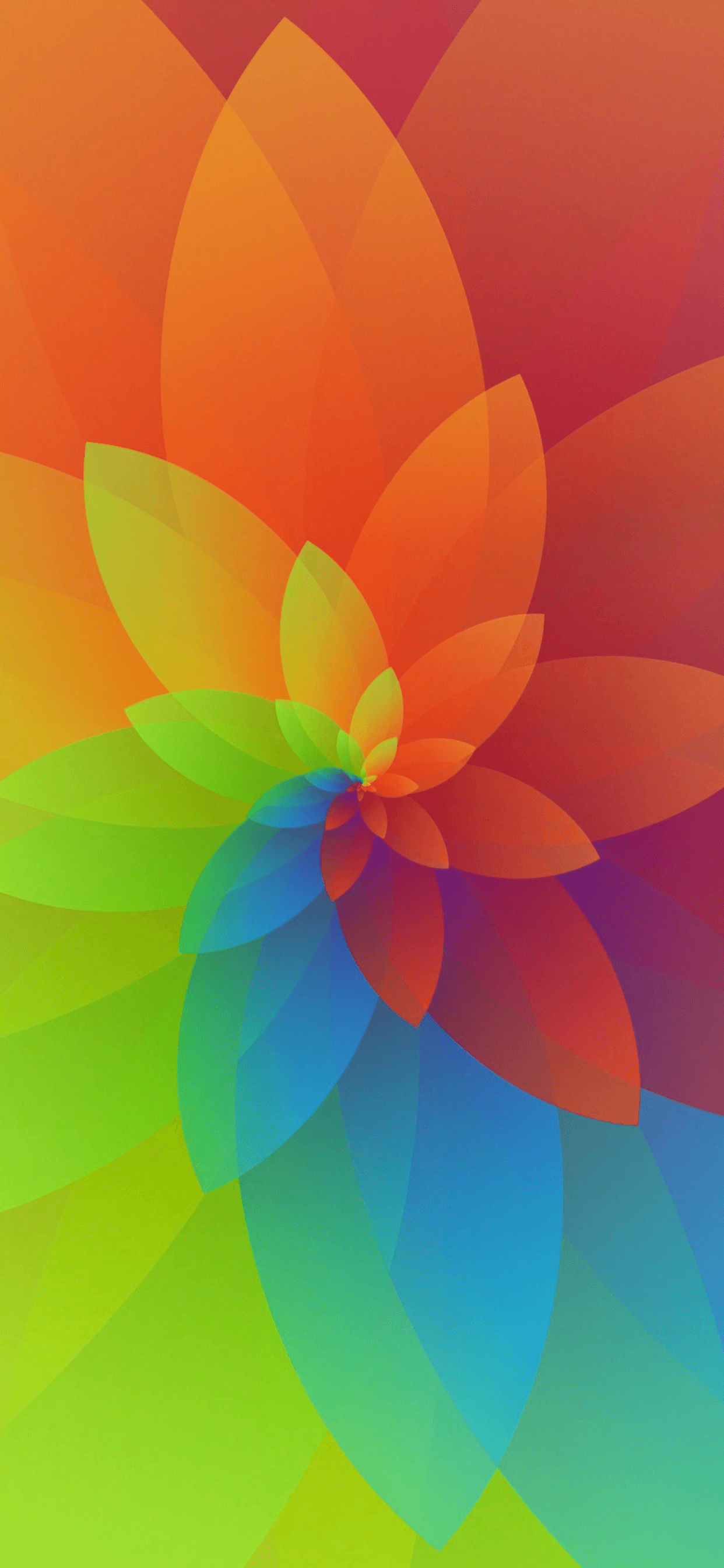 Fiore astratto multicolore, 1242x2688 Full HD Verticale, iPhone Air