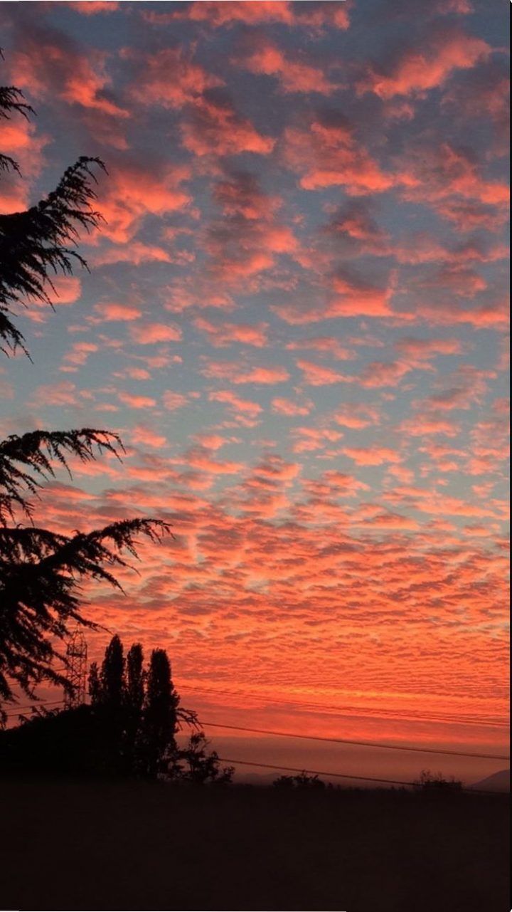 Tramonto rosa nuvole albero, 720x1281 Full HD Verticale, iPhone Air