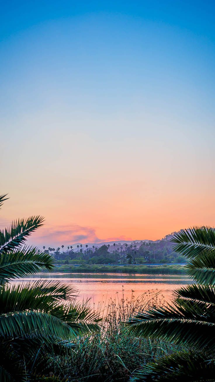Tramonto lago palme, 736x1308 Full HD Verticale, iPhone