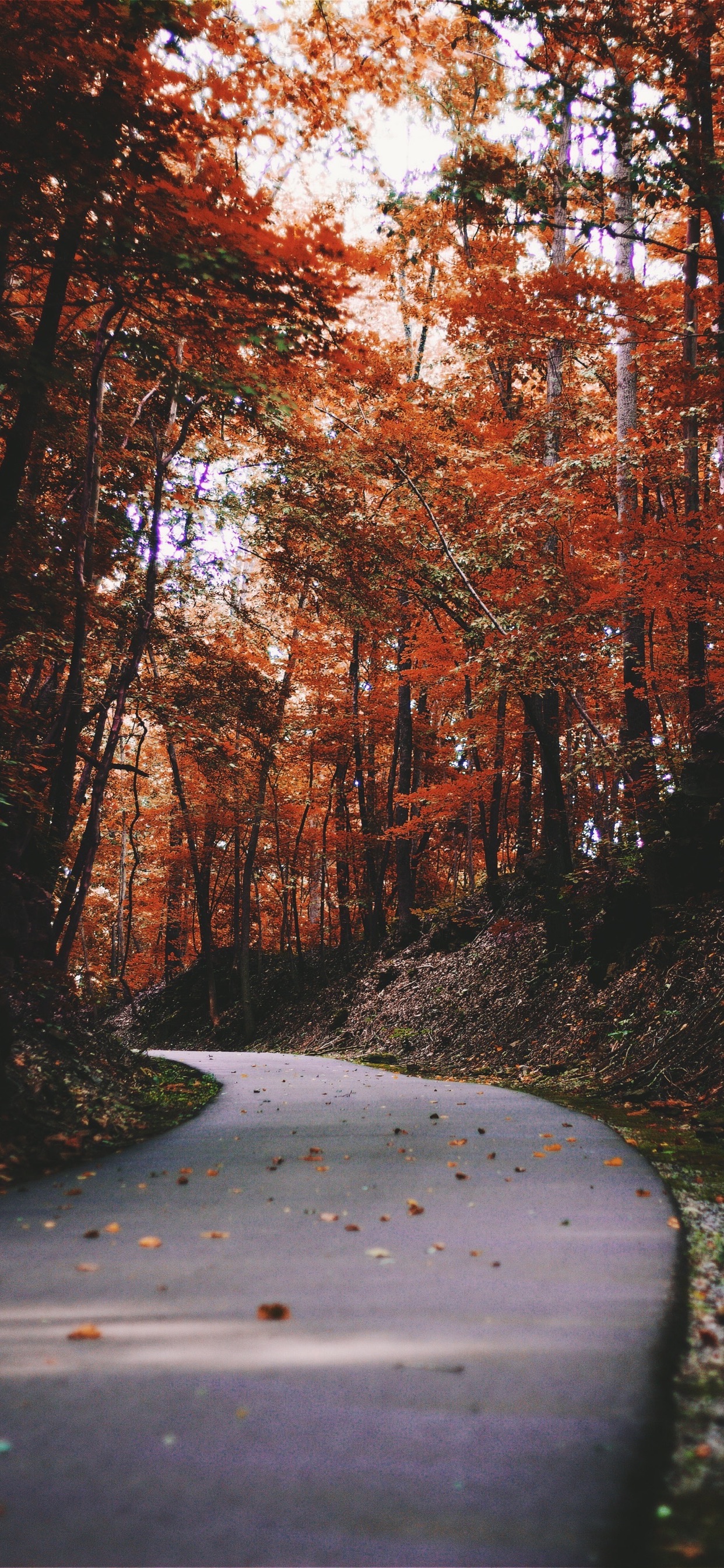 iPhone XS Max, 1242x2688 Verticale, iPhone Air