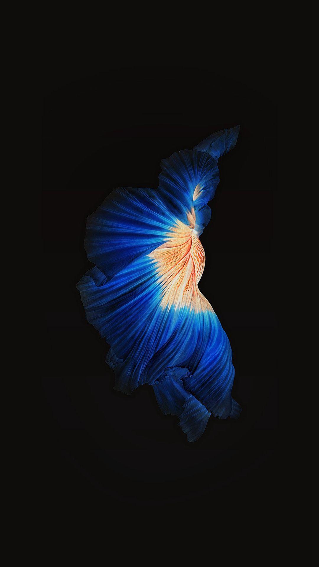 Seta blu astratta sfondo nero, sfondi Popolari, 1080x1920 Full HD Verticale, iPhone
