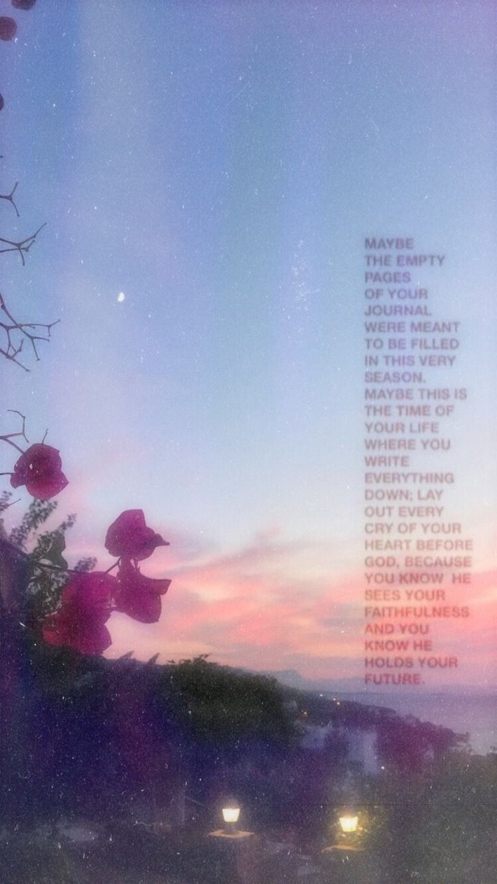 Cielo al tramonto con fiori, sfondi Popolari, 720x1280 Verticale, iPhone Air