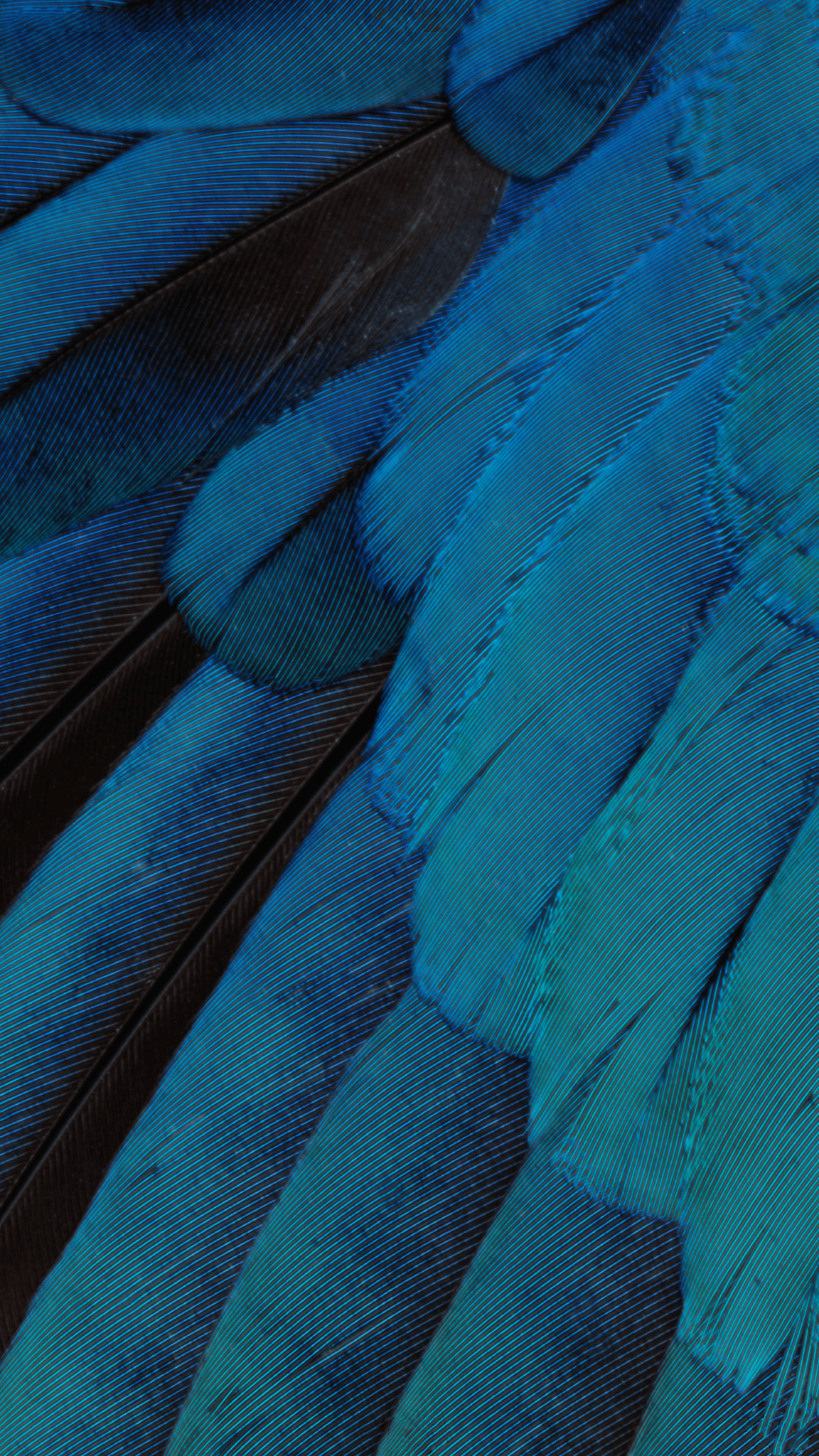 iPad Pro con Apple Pencil, azienda tech, 1600x900 900p, Desktop