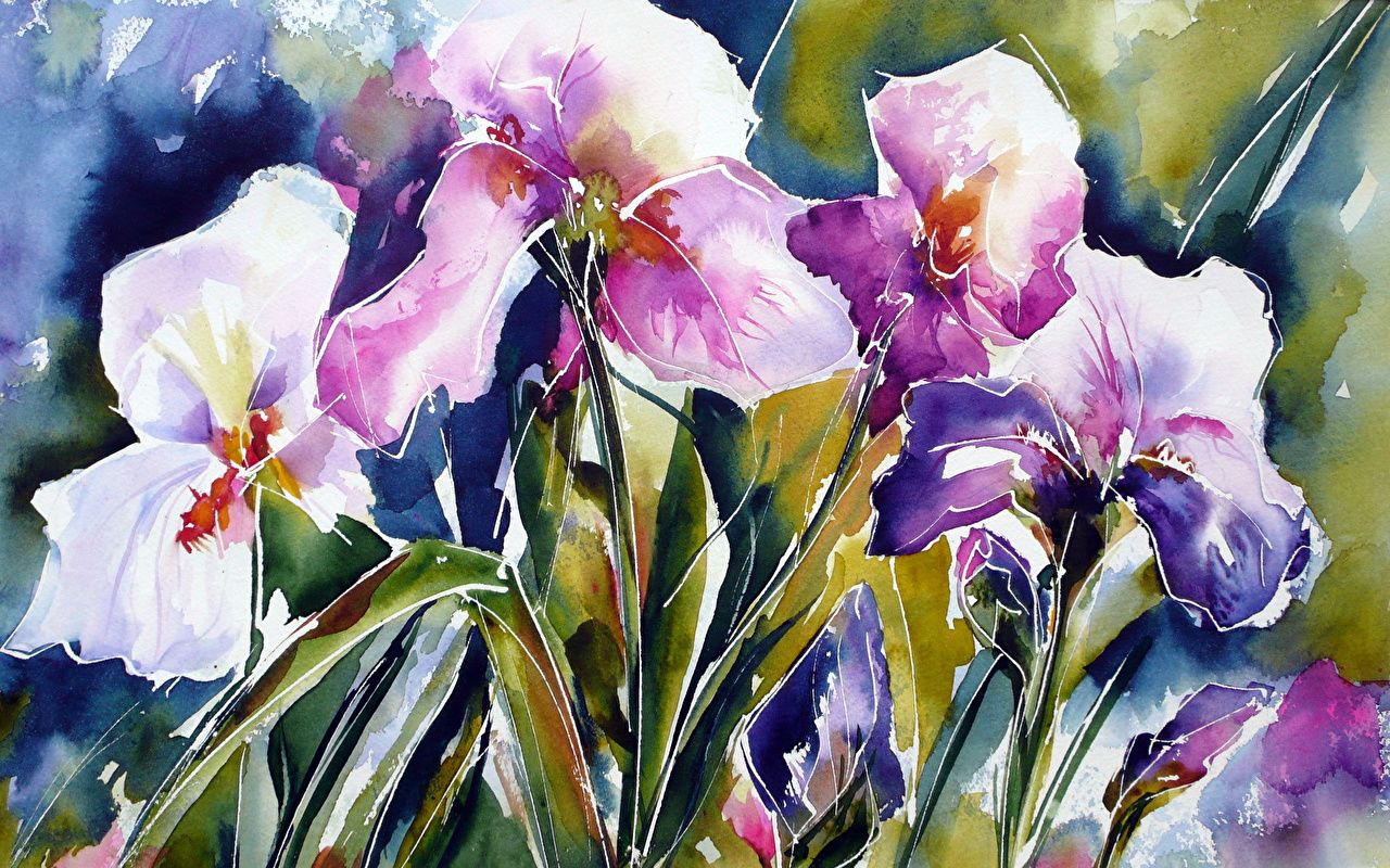 Fiori di iris ad acquerello, 1280x800 HD, Desktop