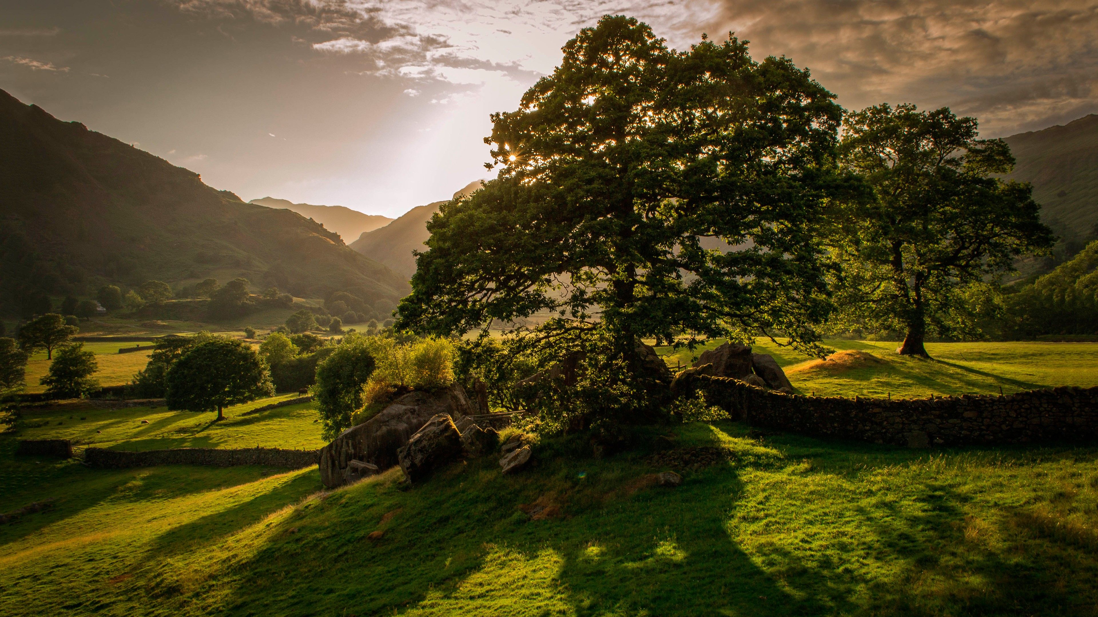 Albero solitario collina irlandese tramonto, 3840x2160 Ultra HD, 4K TV