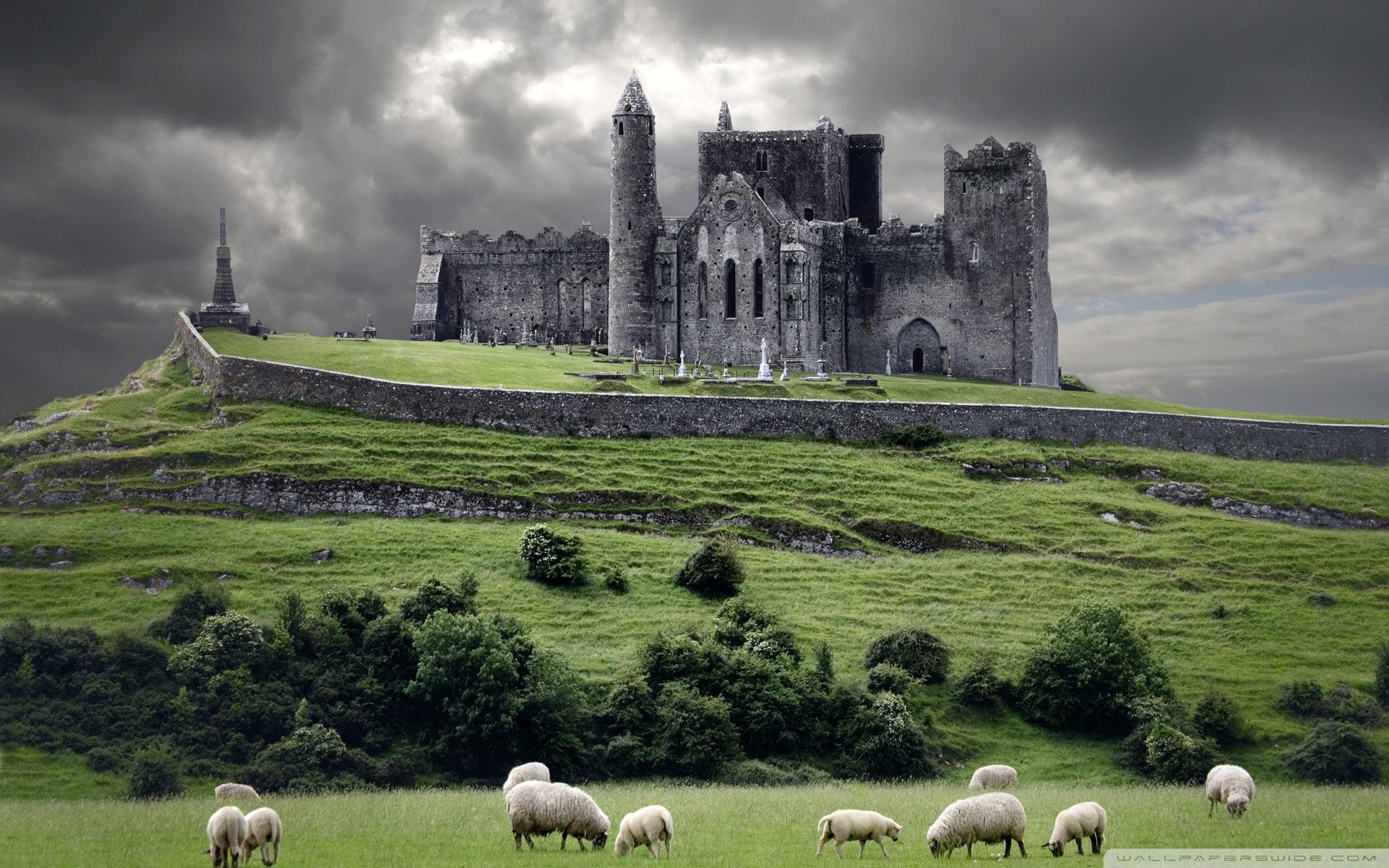Castello irlandese con pecore, 1920x1200 Full HD+, Desktop