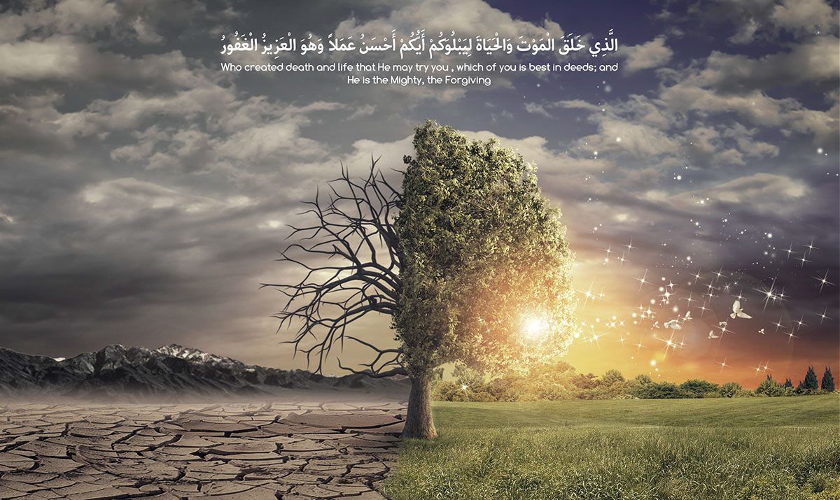 Albero vita e morte, versetto arabo, 1200x715 HD, PC