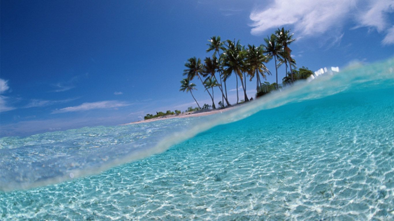 Isola tropicale con palme, 1366x768 HD, Desktop
