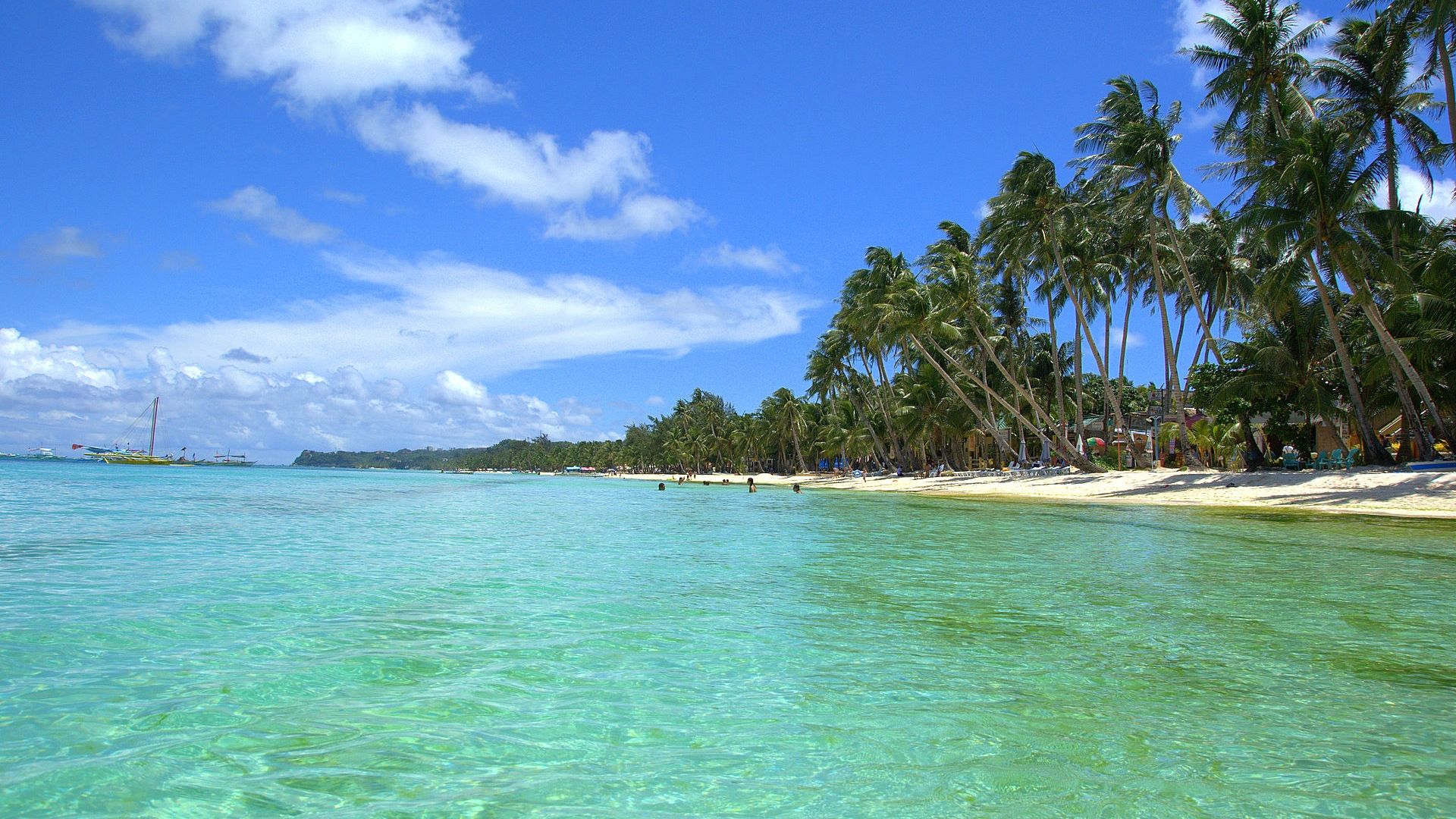 Spiaggia tropicale con palme, 1920x1080 1080p, Desktop