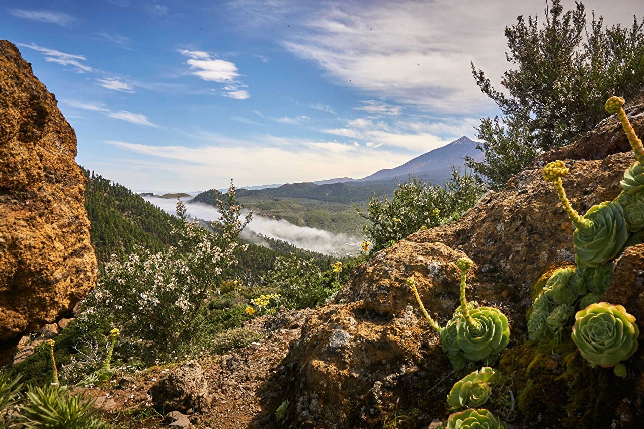 Paesaggio vulcanico Tenerife Canarie, 1280x853 720p, Laptop