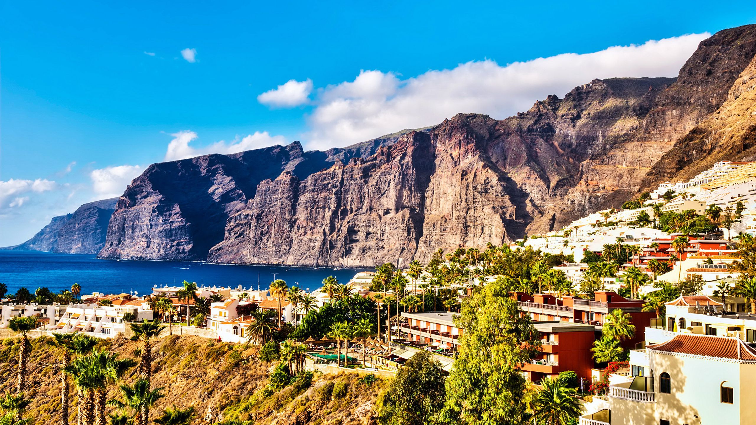 Scogliera costiera Tenerife, Canarie, 2560x1440 2K, Desktop