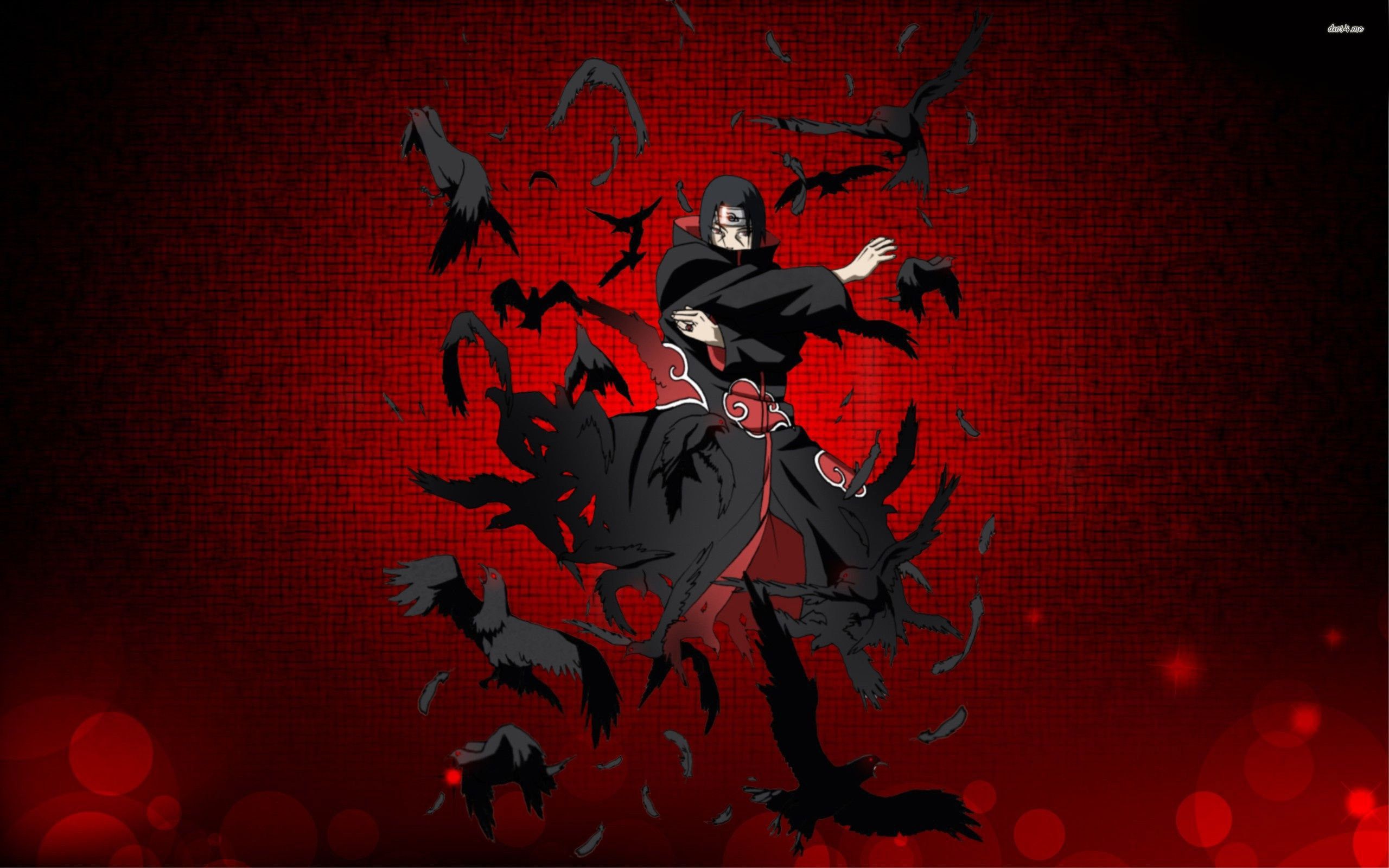 Itachi Uchiha corvi rossi, 2560x1600 2K+, Desktop
