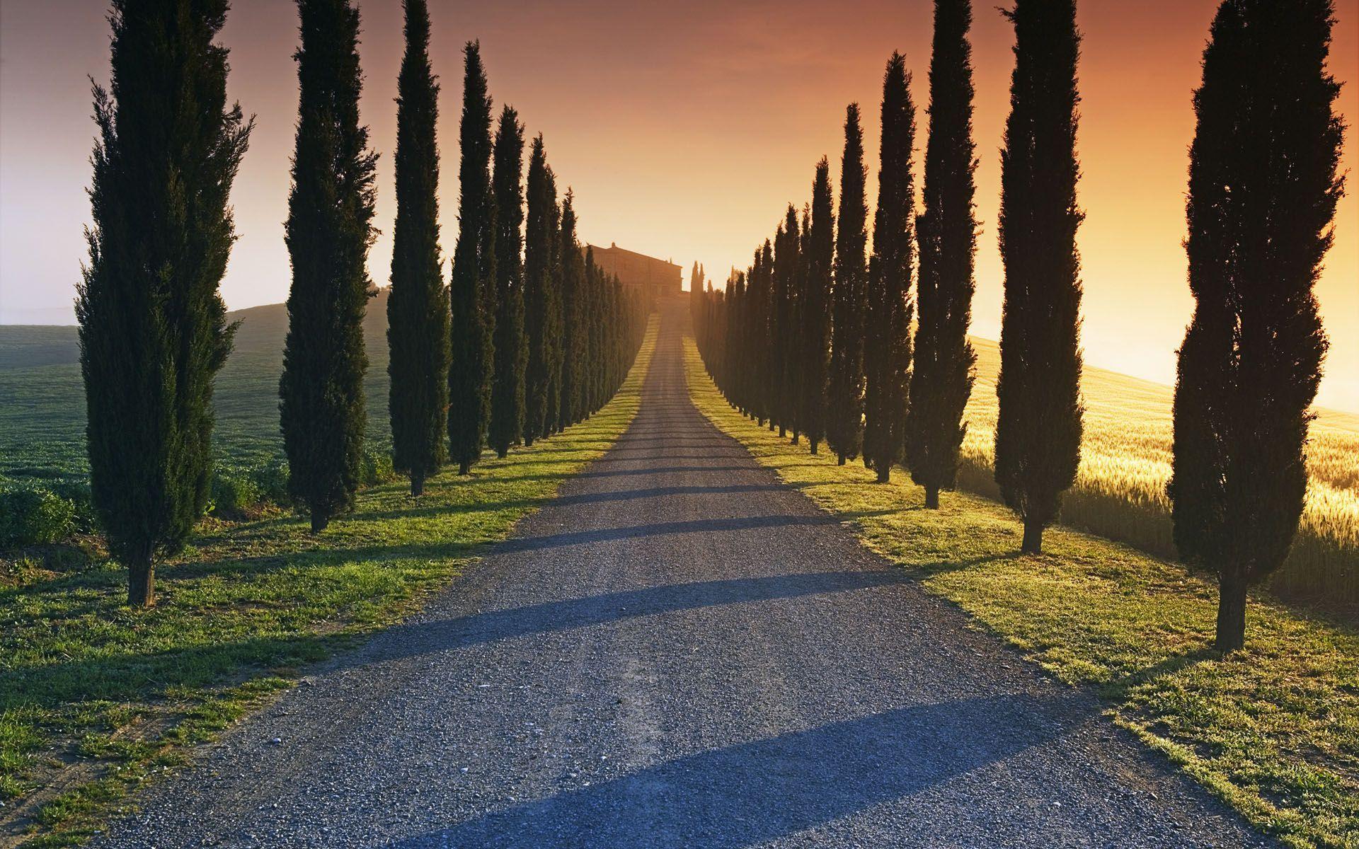 Viale cipressi Toscana tramonto, 1920x1200 Full HD+, PC Desktop