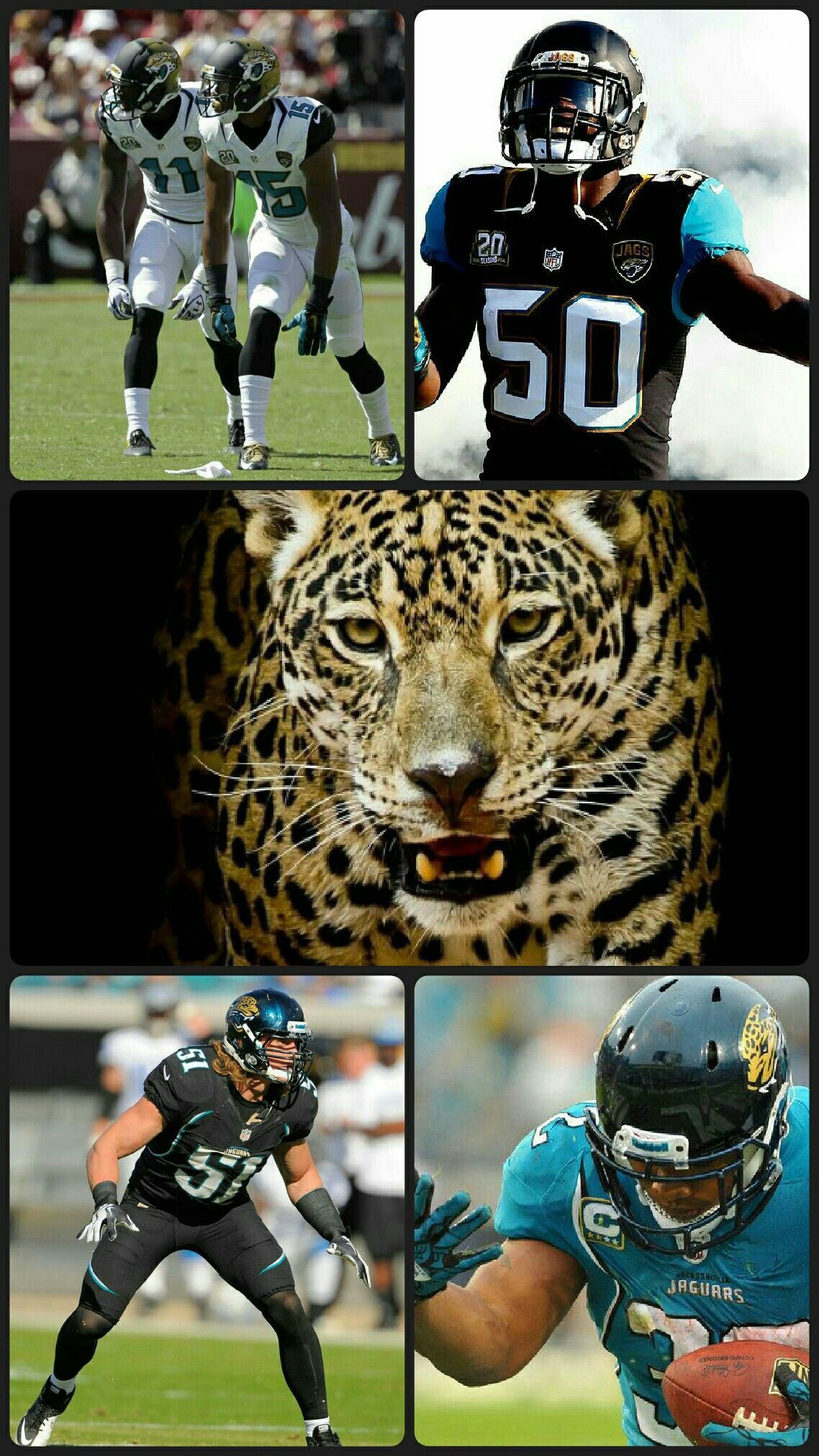 Giocatori football americano Jaguars, 1920x1080 Full HD, Desktop