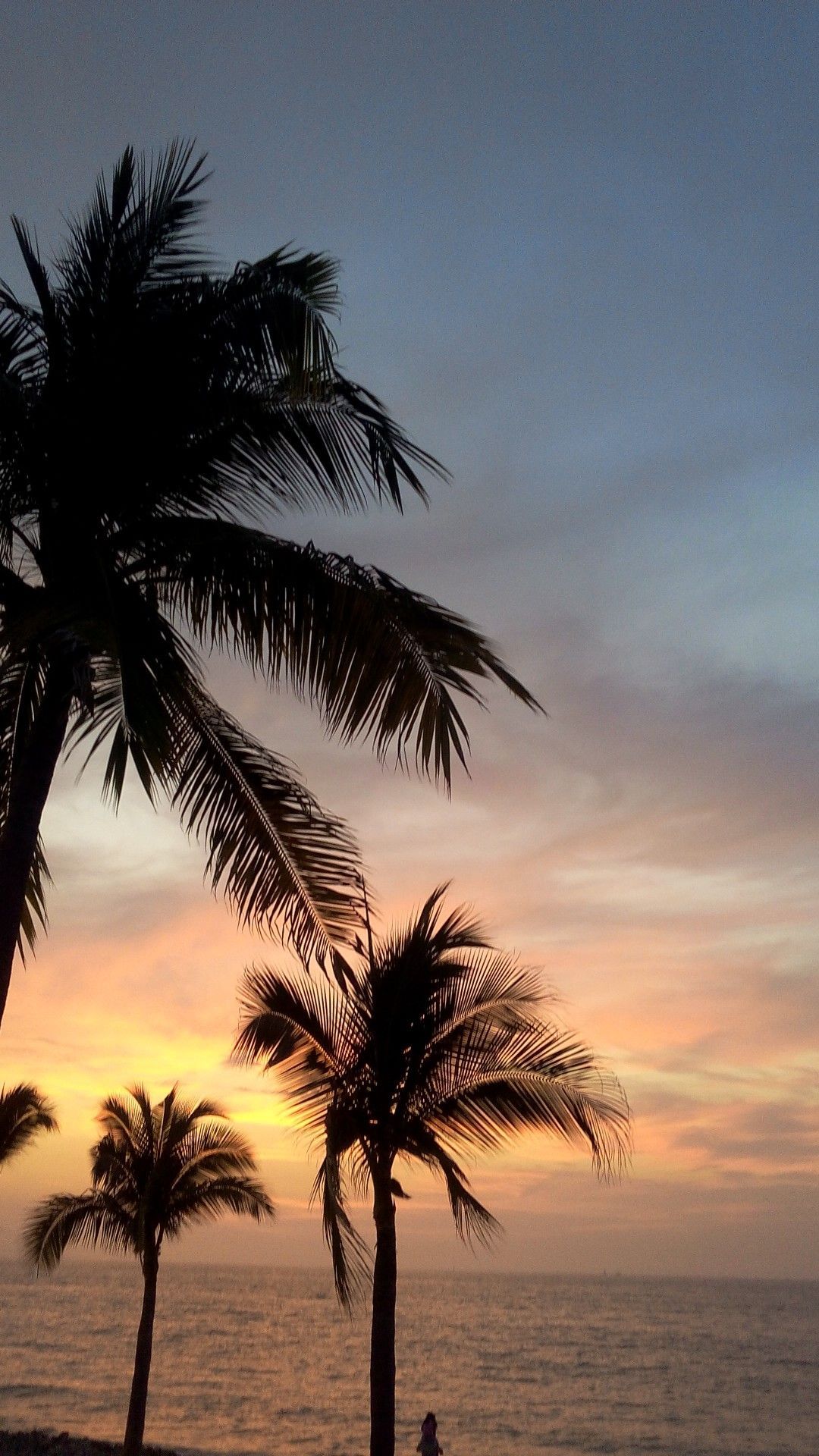Palme al tramonto sulla spiaggia, 1080x1920 Verticale, Telefono