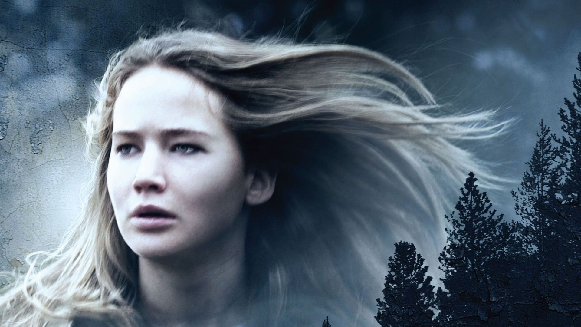 Jennifer Lawrence Winter's Bone, 1920x1080 Full HD 1080p, PC Desktop