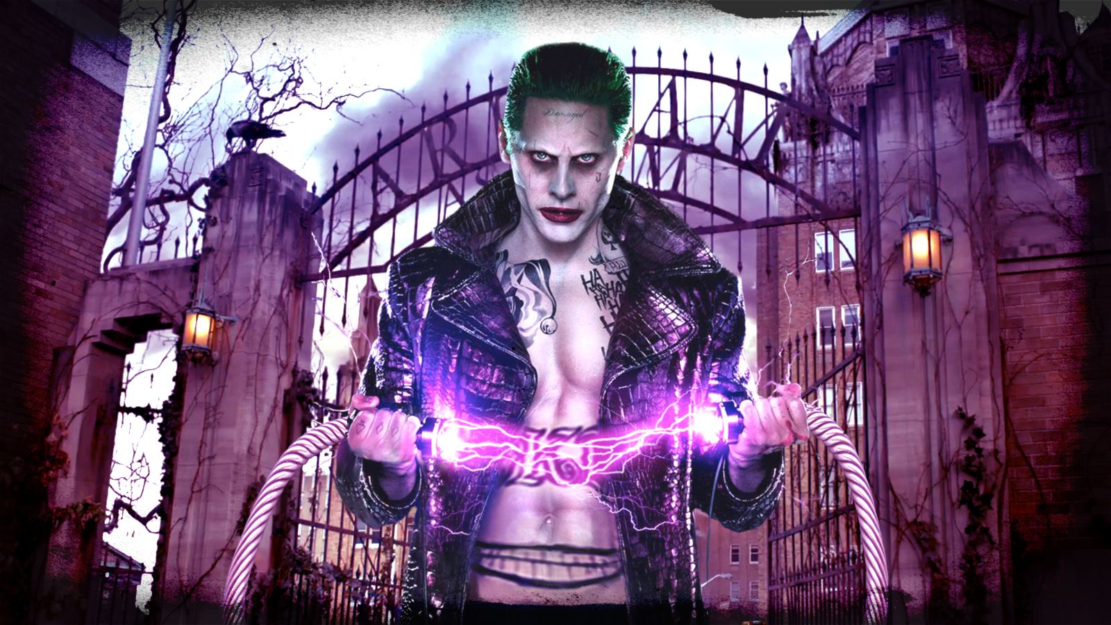Joker Suicide Squad, cancello viola, 1600x900 HD Ready, Laptop