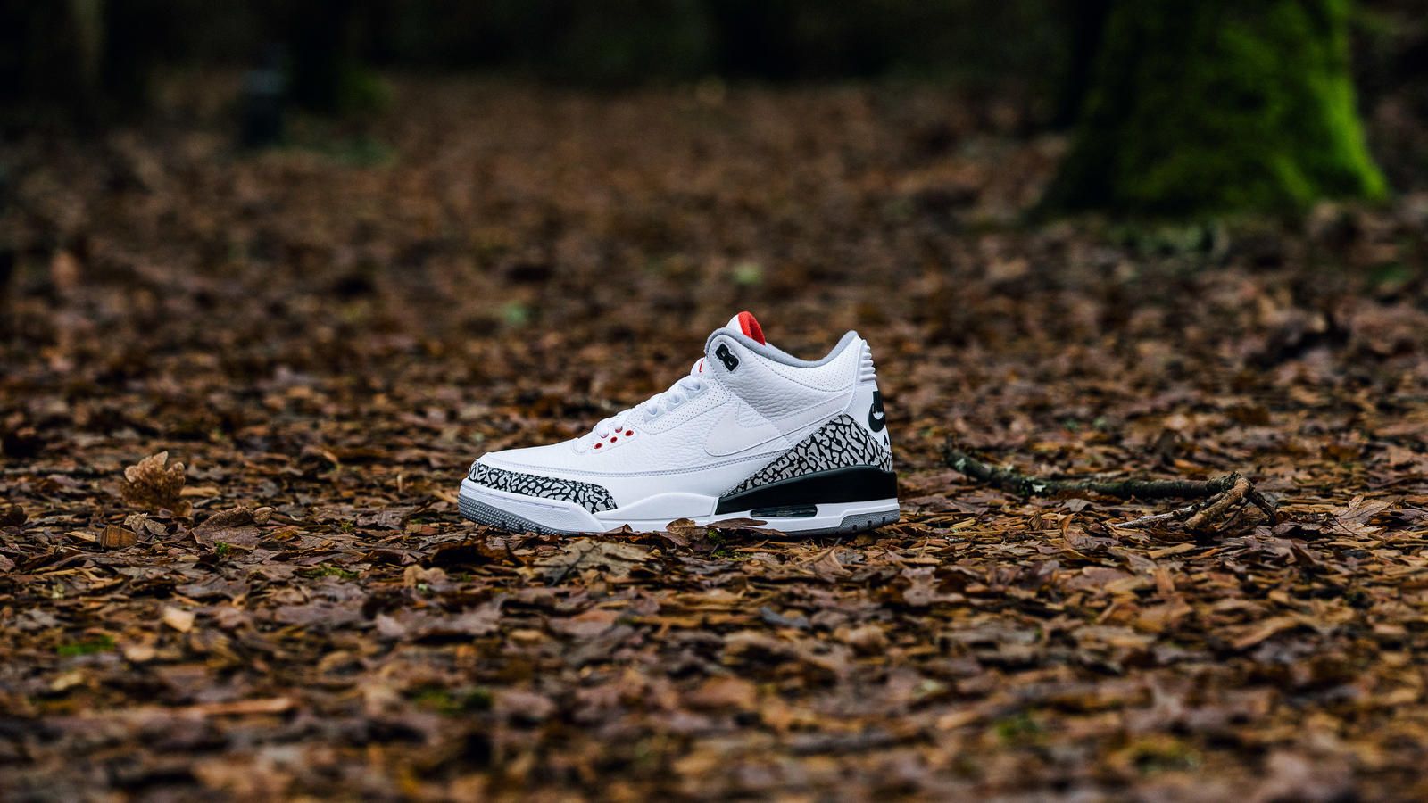 Sneaker Air Jordan 3 bianca, 1600x900 HD Ready, Desktop