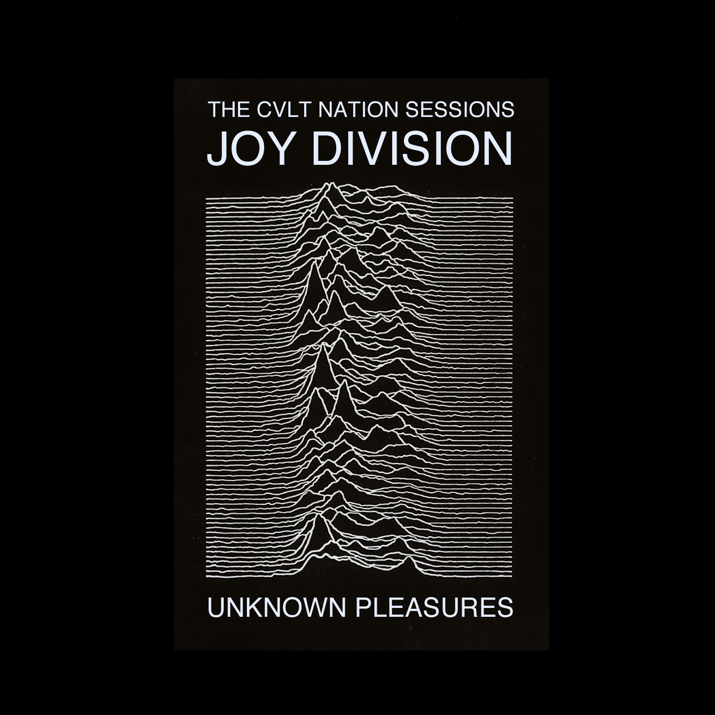 Joy Division Unknown Pleasures copertina, Ian Curtis, 1920x1080 1080p, Laptop