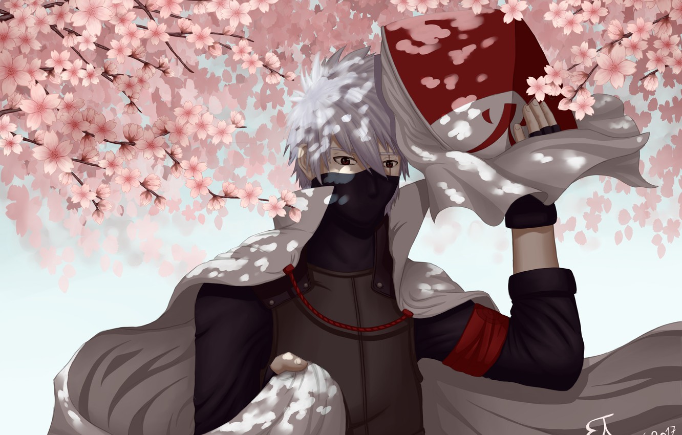 Kakashi Hokage sakura Naruto, ninja, 1332x850 HD, Desktop