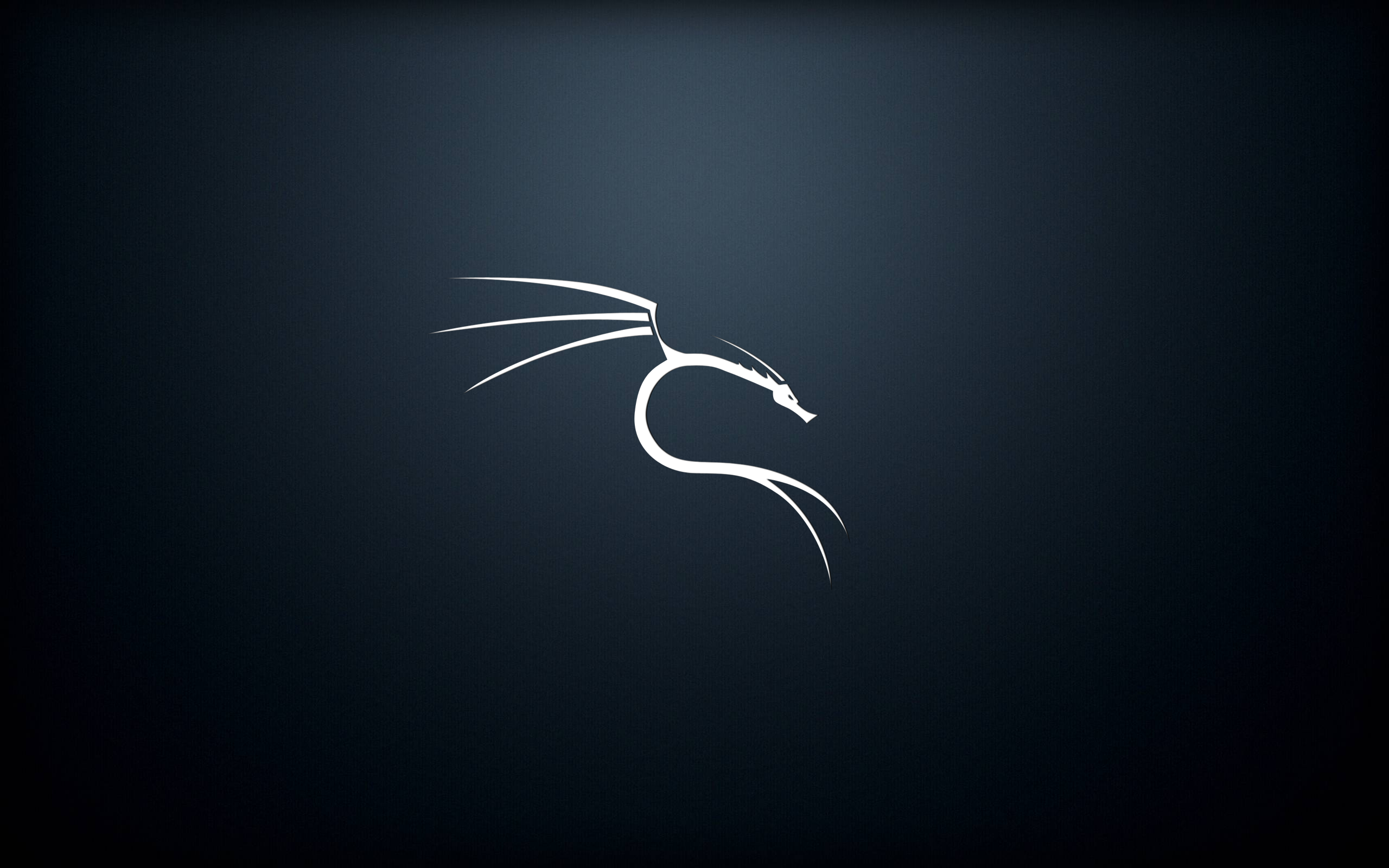 Logo drago Kali Linux, penetration test, 2560x1600 WQXGA, Desktop
