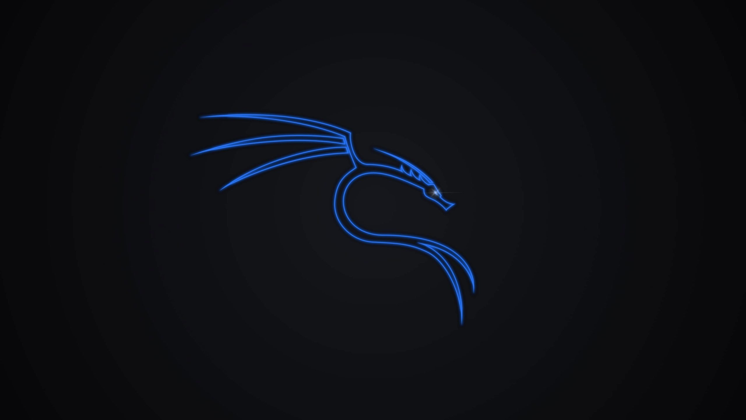 Logo drago Kali Linux blu, 2560x1440 1440p, Desktop