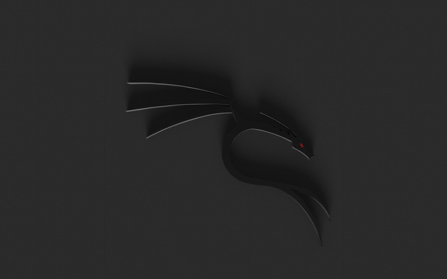 Logo drago Kali Linux nero, 1440x900 720p, PC
