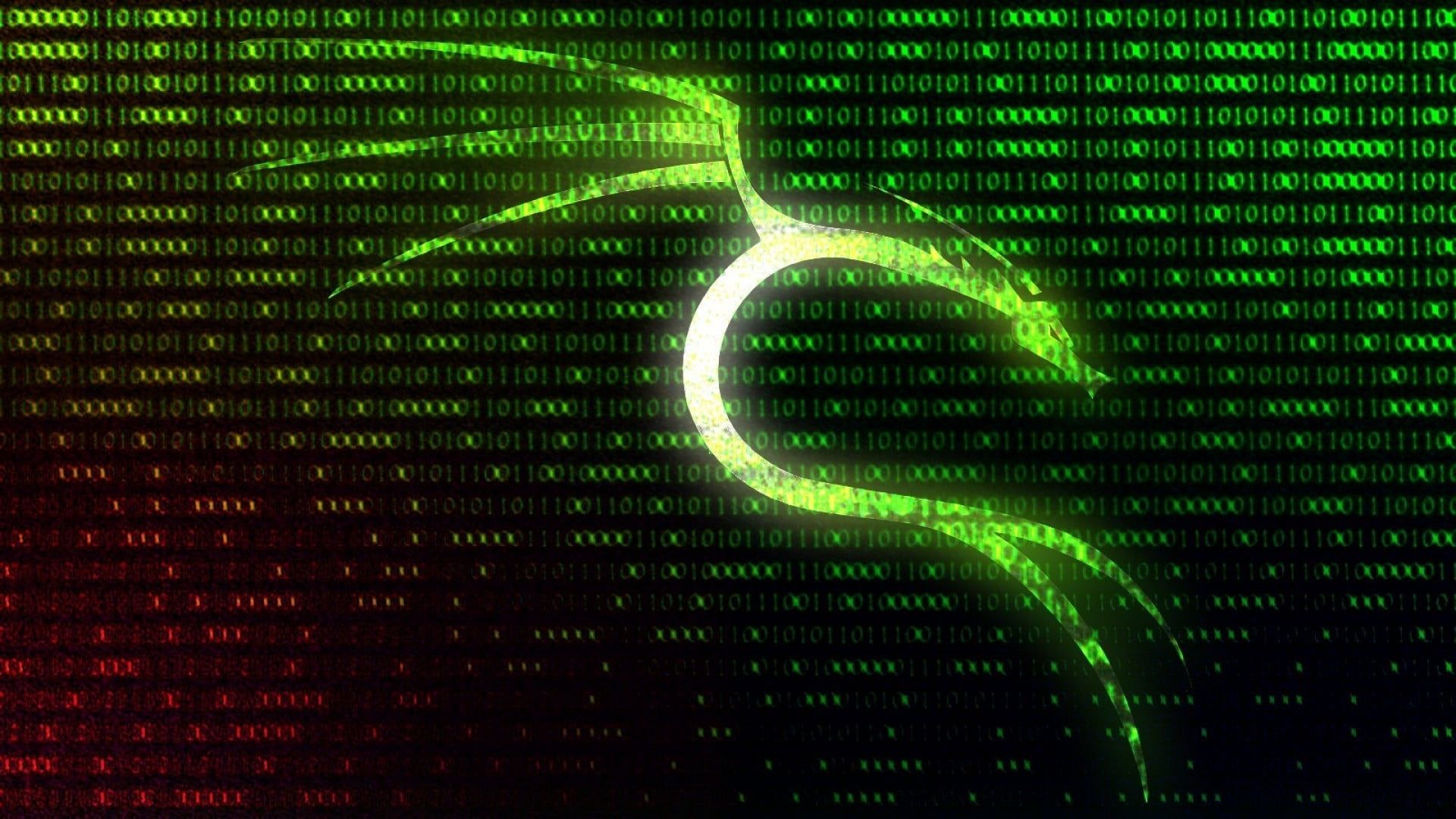 Logo Kali Linux, effetto matrice digitale, 1920x1080 Full HD 1080p, PC Desktop