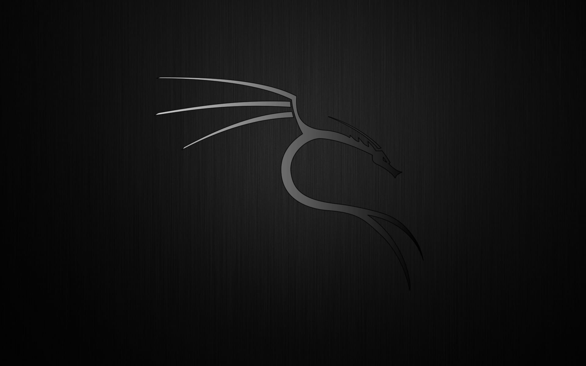 Logo drago Kali Linux nero, 1920x1200 Full HD+, Desktop