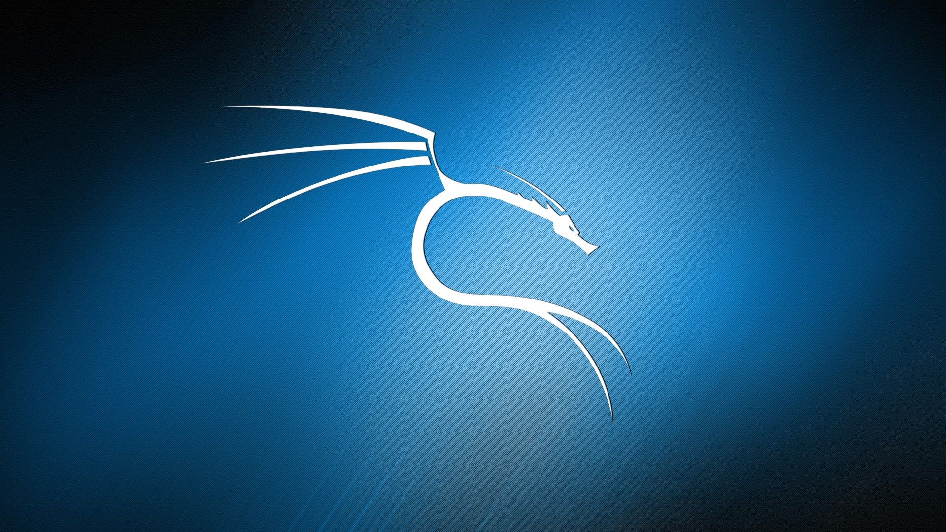 Logo drago Kali Linux, 1920x1080 Full HD 1080p, PC Desktop
