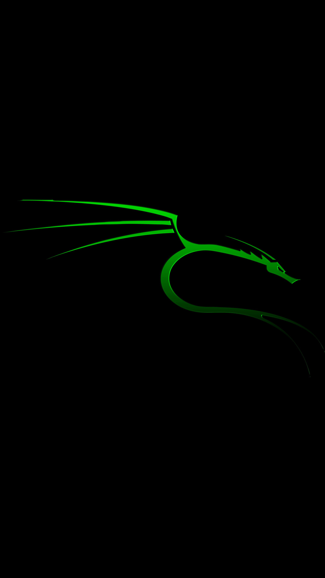 Logo drago verde Kali Linux, 1080x1920 Full HD Verticale, Samsung Galaxy
