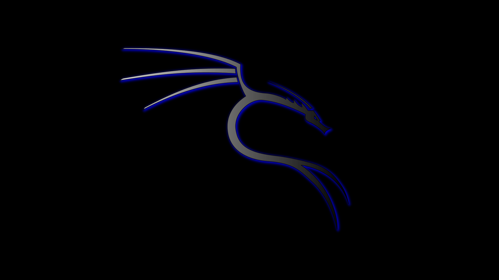 Logo Kali Linux drago blu, 1920x1080 Full HD 1080p, PC Desktop
