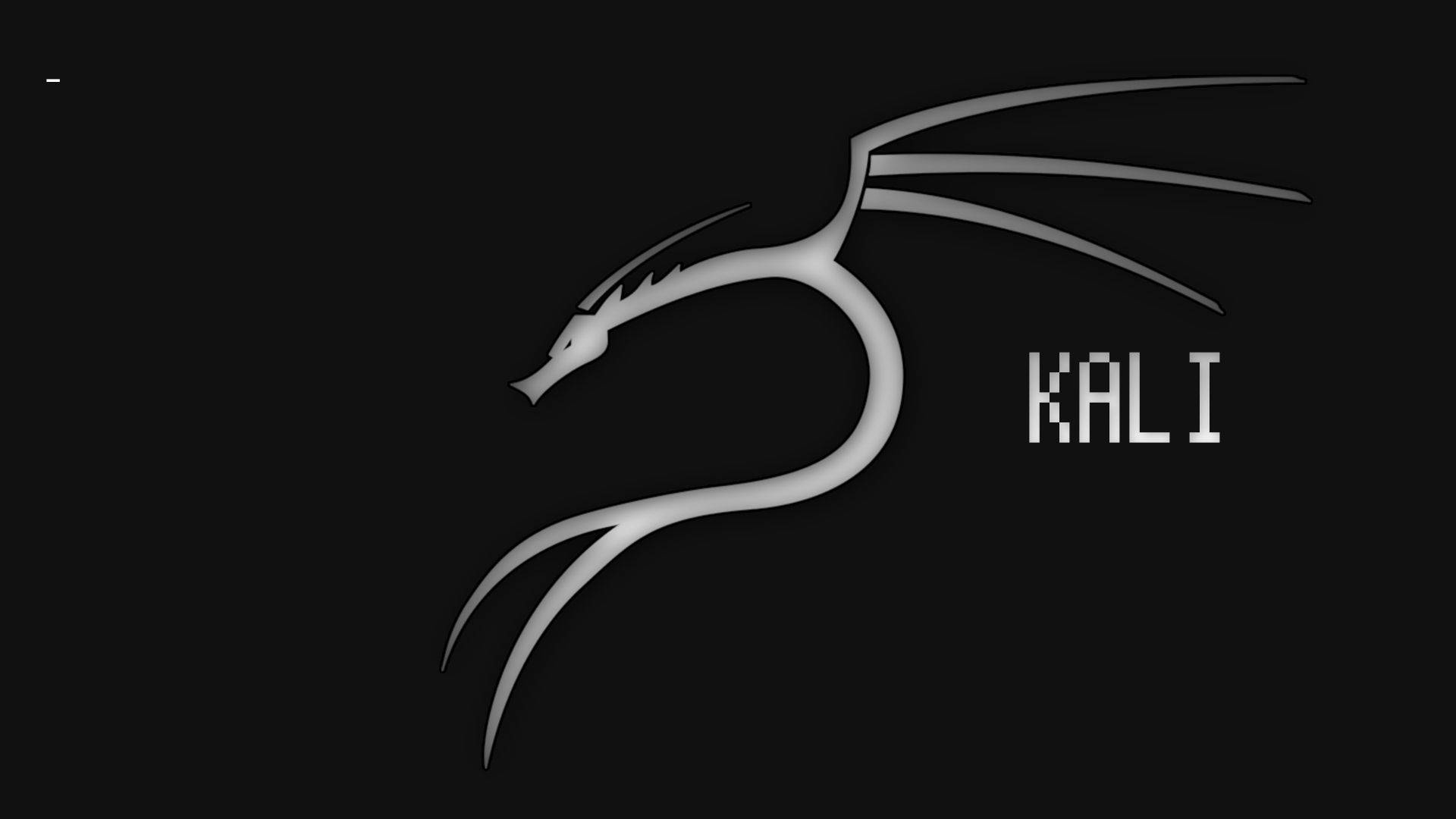 Logo drago Kali Linux, 1920x1080 Full HD, PC