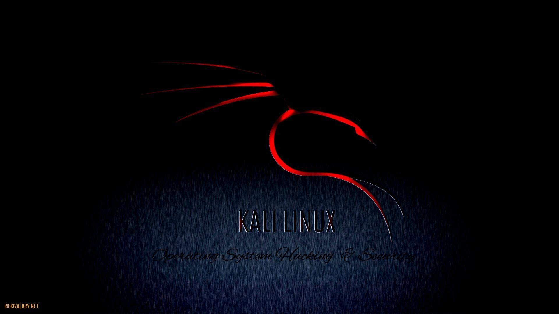 Logo drago Kali Linux, 1920x1080 1080p, Desktop