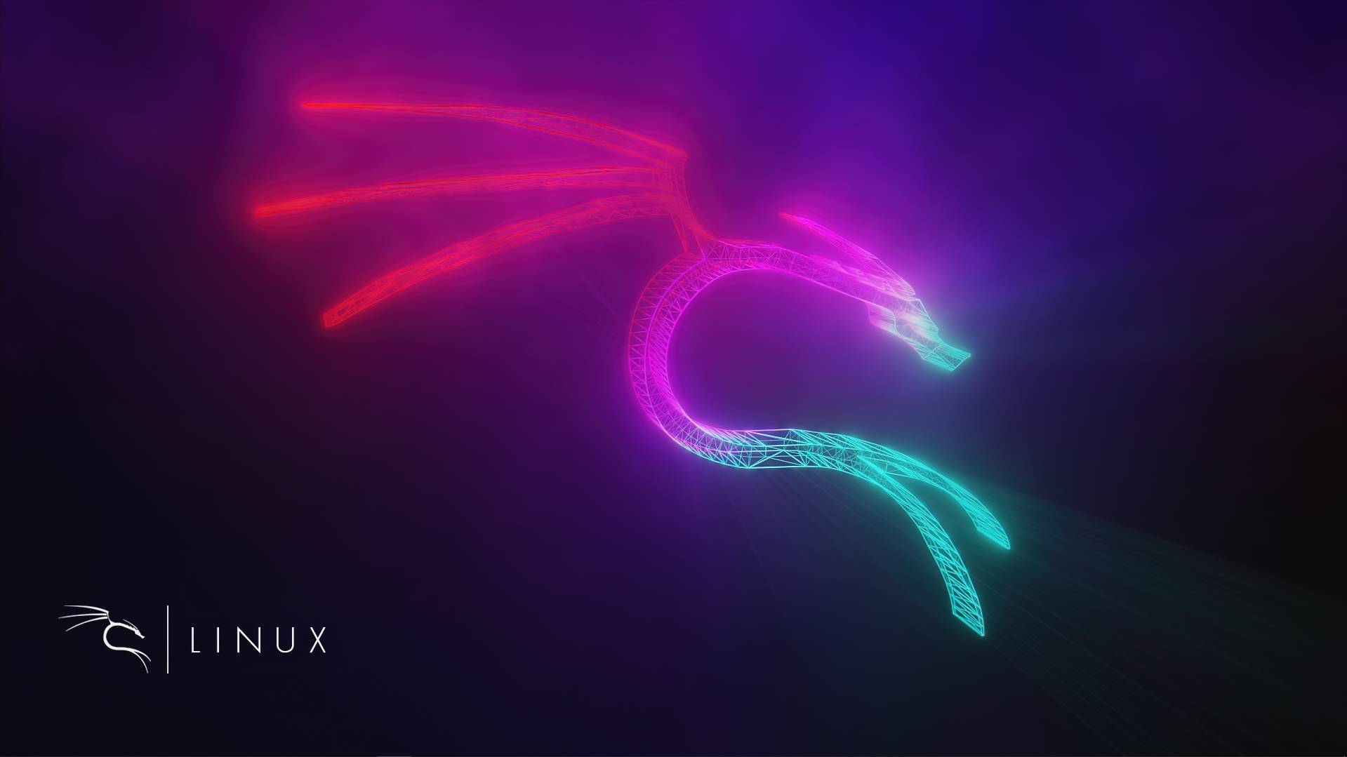 Logo drago neon Kali Linux, 1919x1079 HD, Desktop