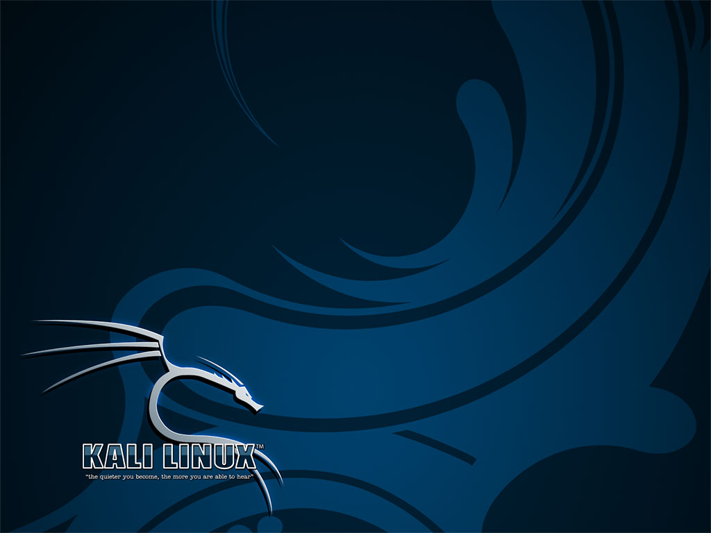 Drago logo Kali Linux blu, 1024x768 HD, Desktop