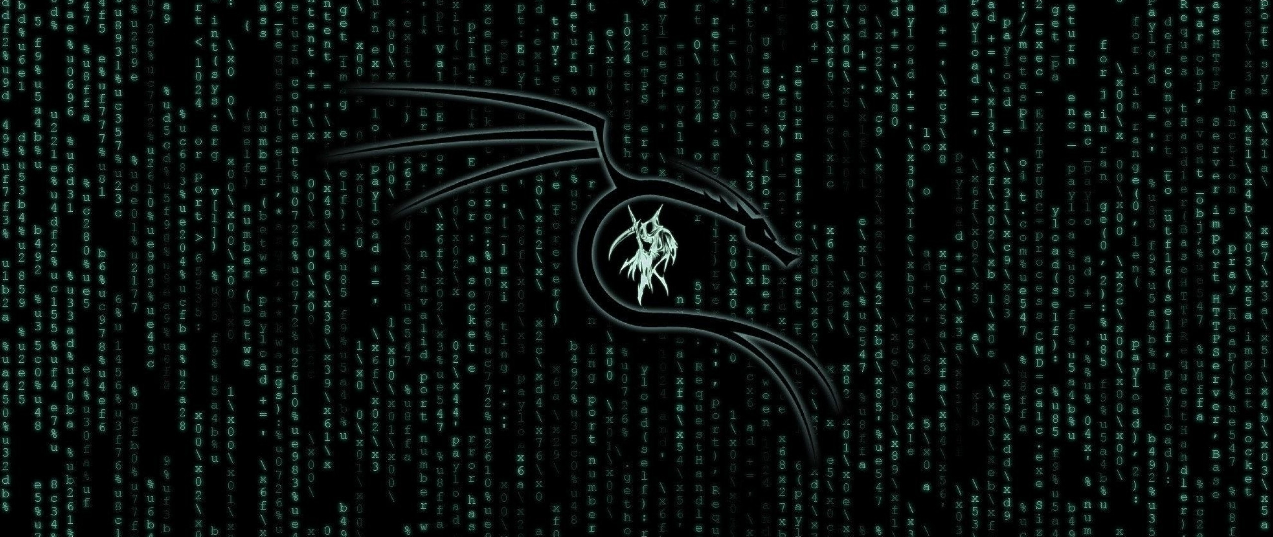 Logo Kali Linux Matrix, 2560x1080 Panoramico, Dual Screen
