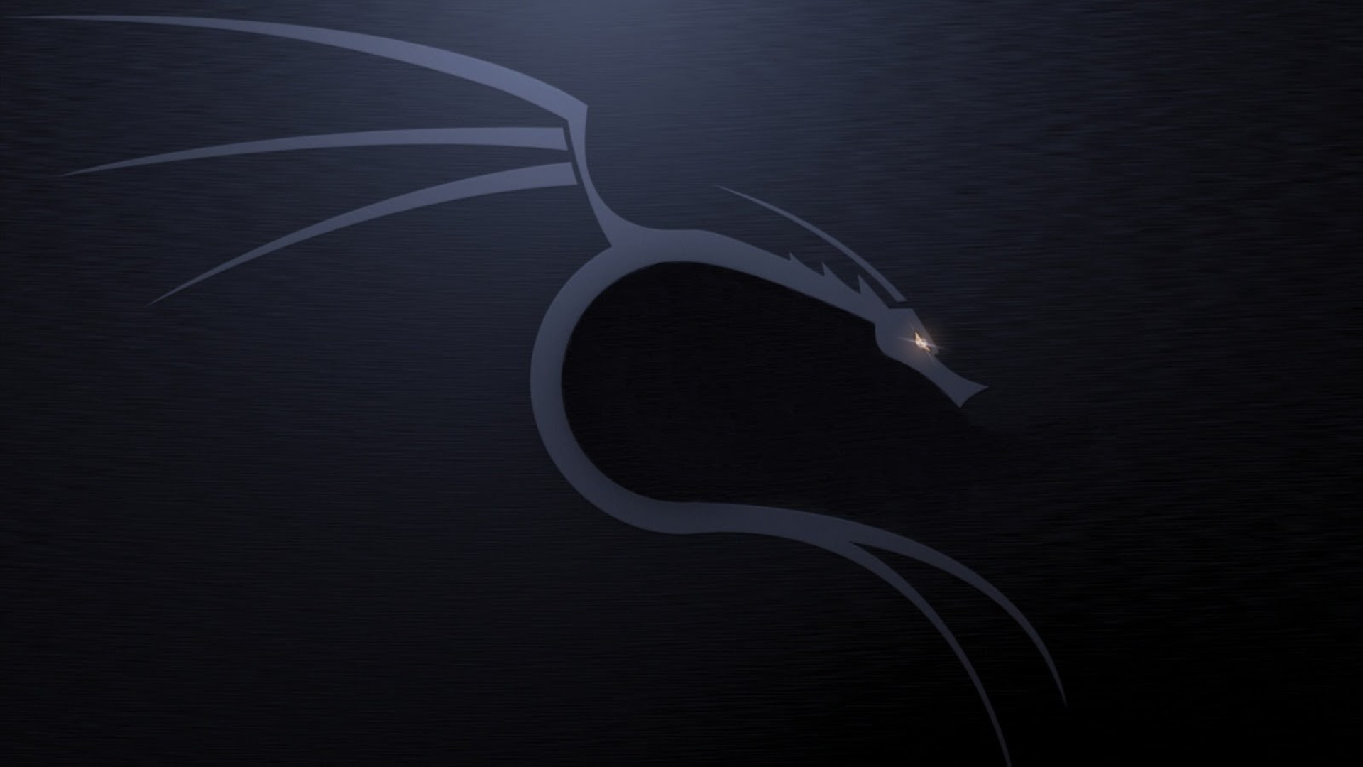 Logo drago Kali Linux, 1920x1080 Full HD 1080p, Desktop