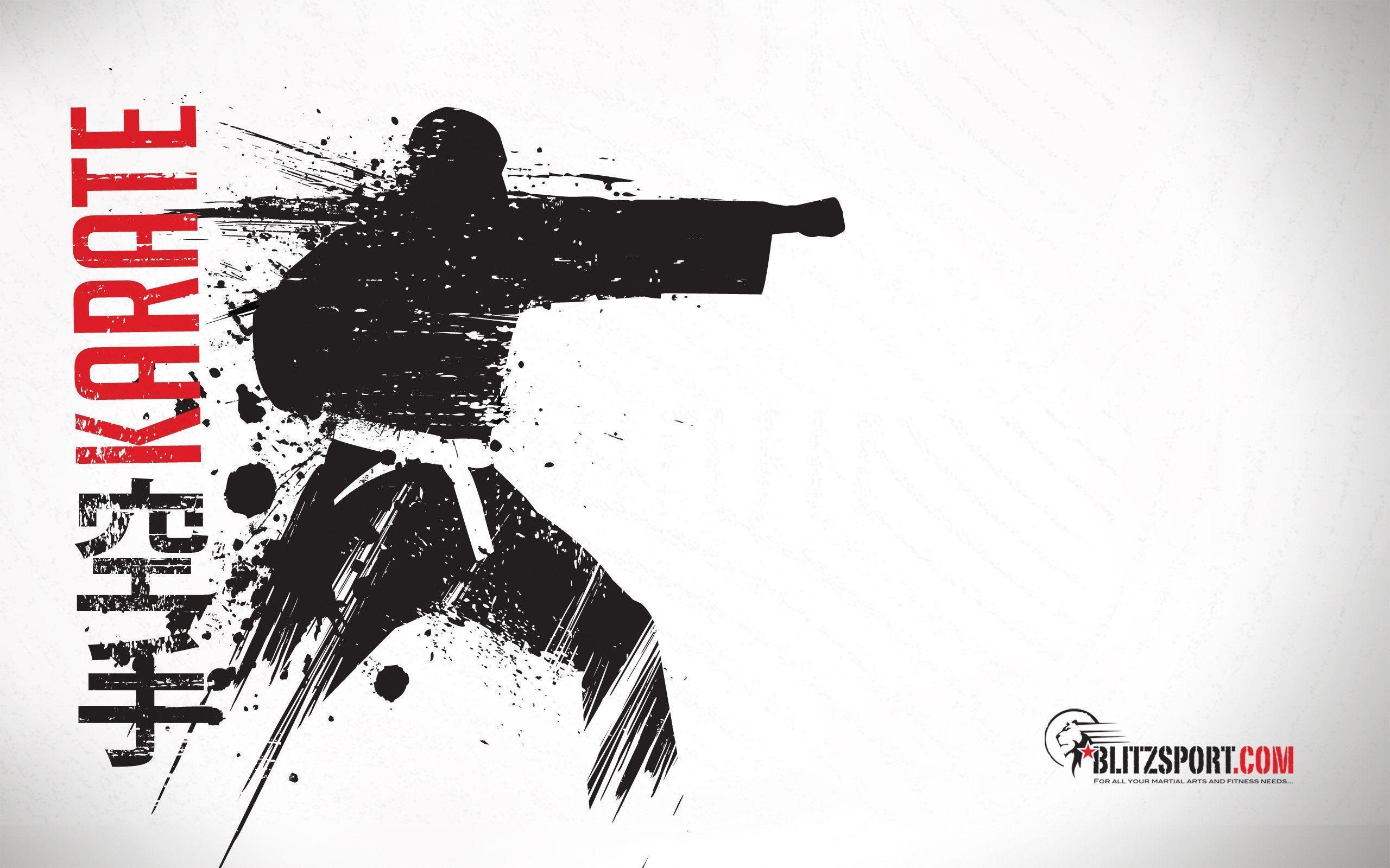 Silhouette karate con schizzi inchiostro, 2560x1600 2K+, Desktop