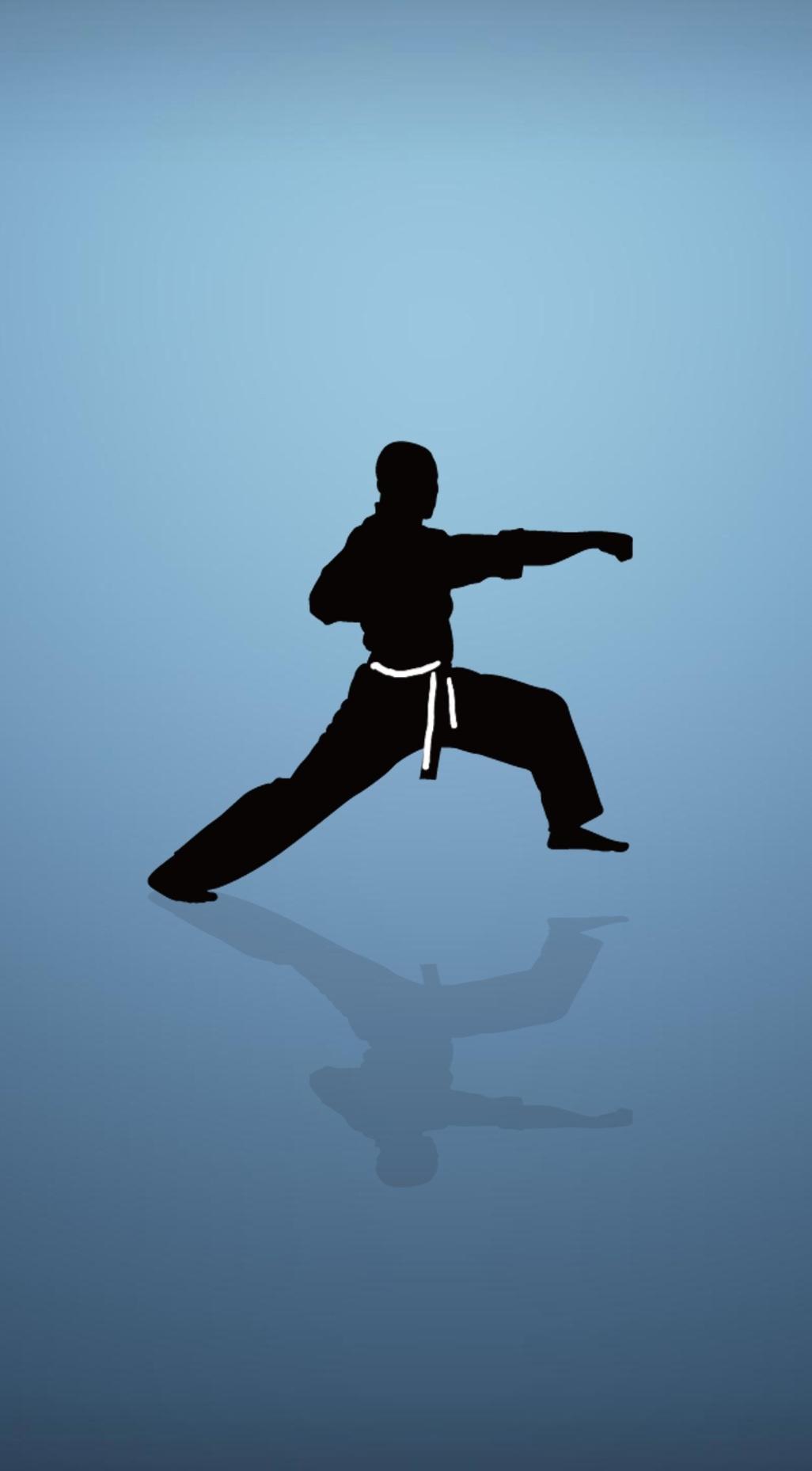 Silhouette karateka posa combattimento, 1026x1858 Full HD Verticale, iPhone