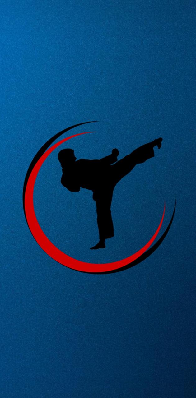 Silhouette karateka calcio blu, 630x1280 Full HD Verticale, Smartphone