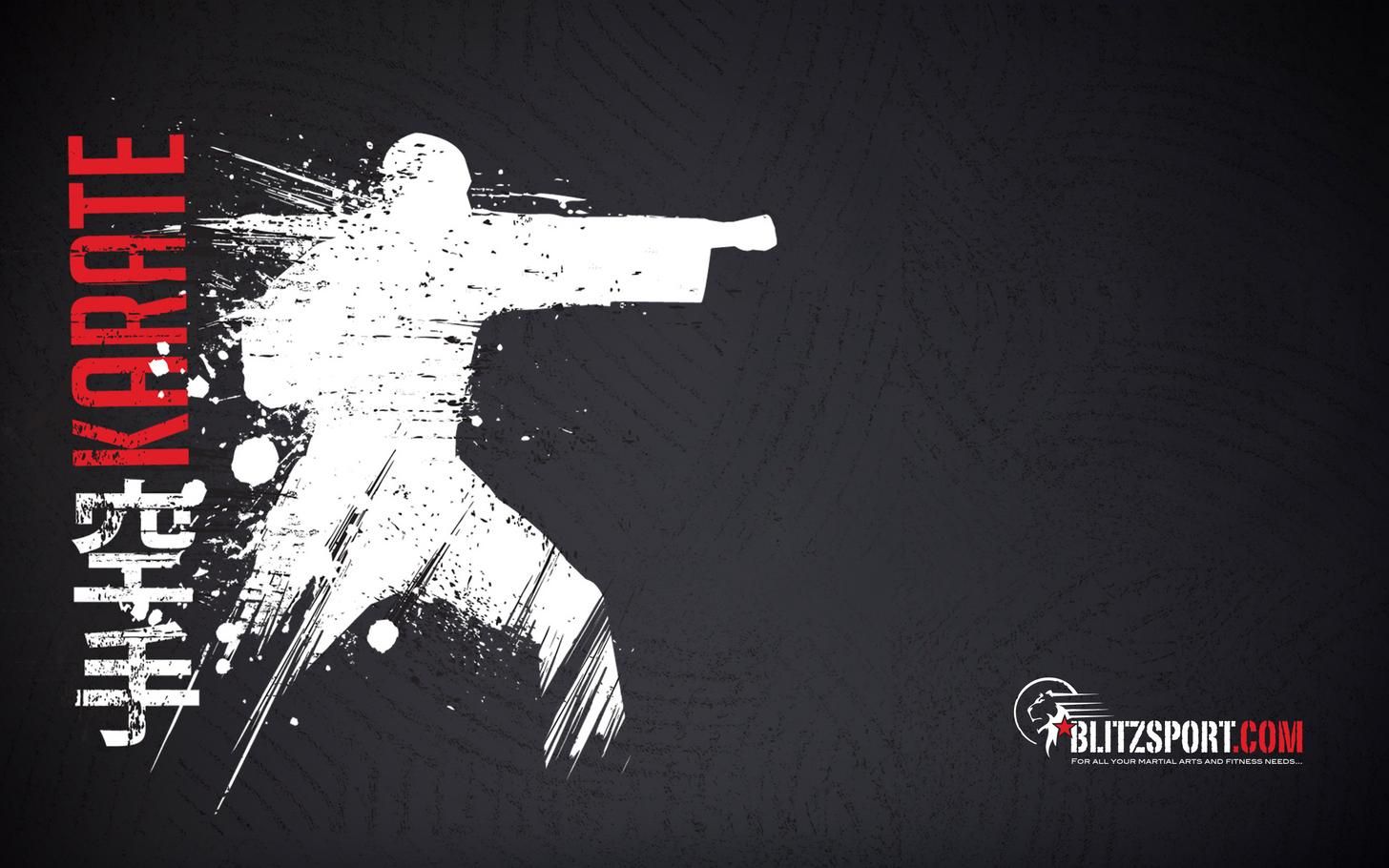 Silhouette karateka posa colpo, 1456x910 HD, Desktop