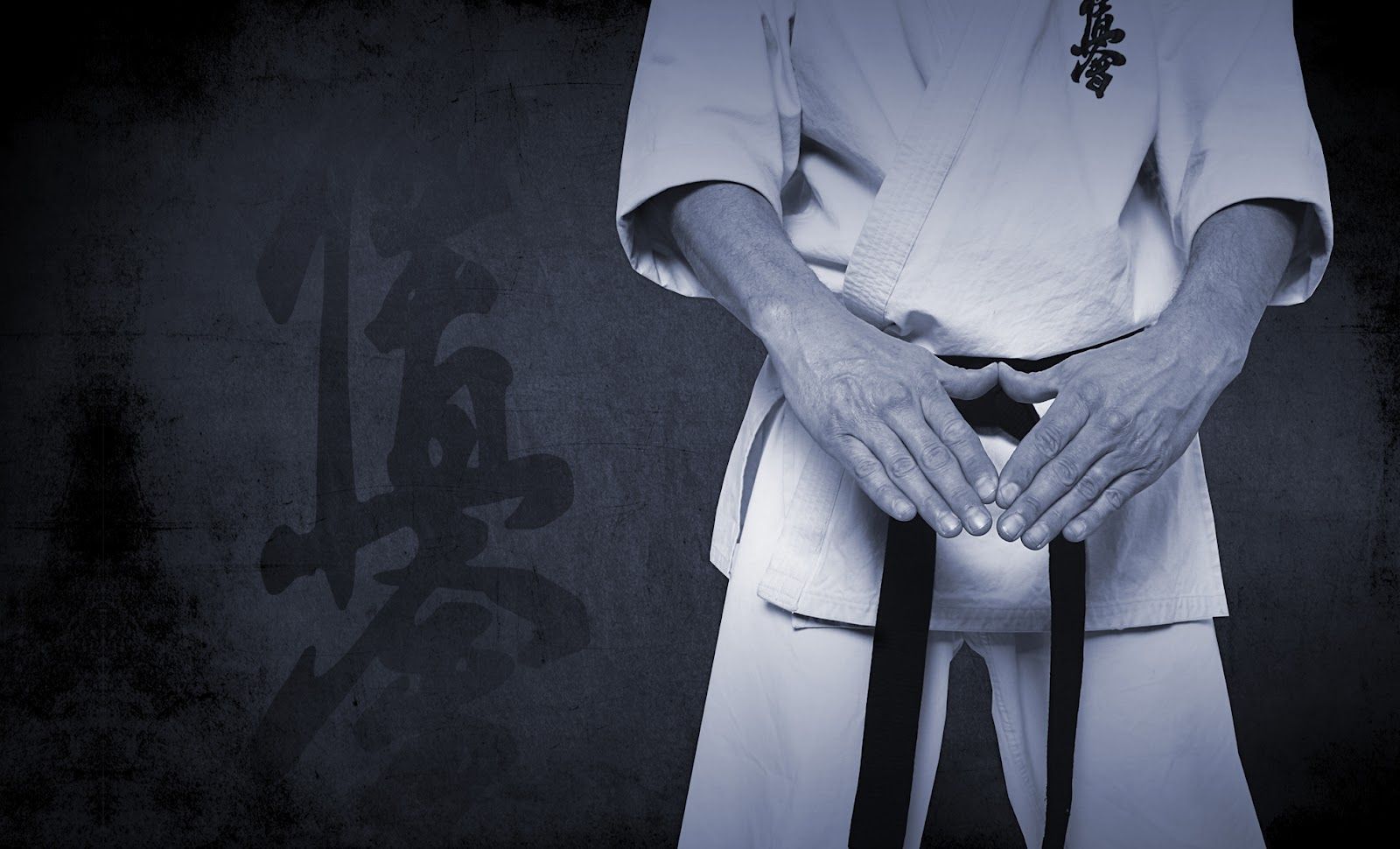 Praticante karate in kimono bianco, 1600x970 900p, Laptop